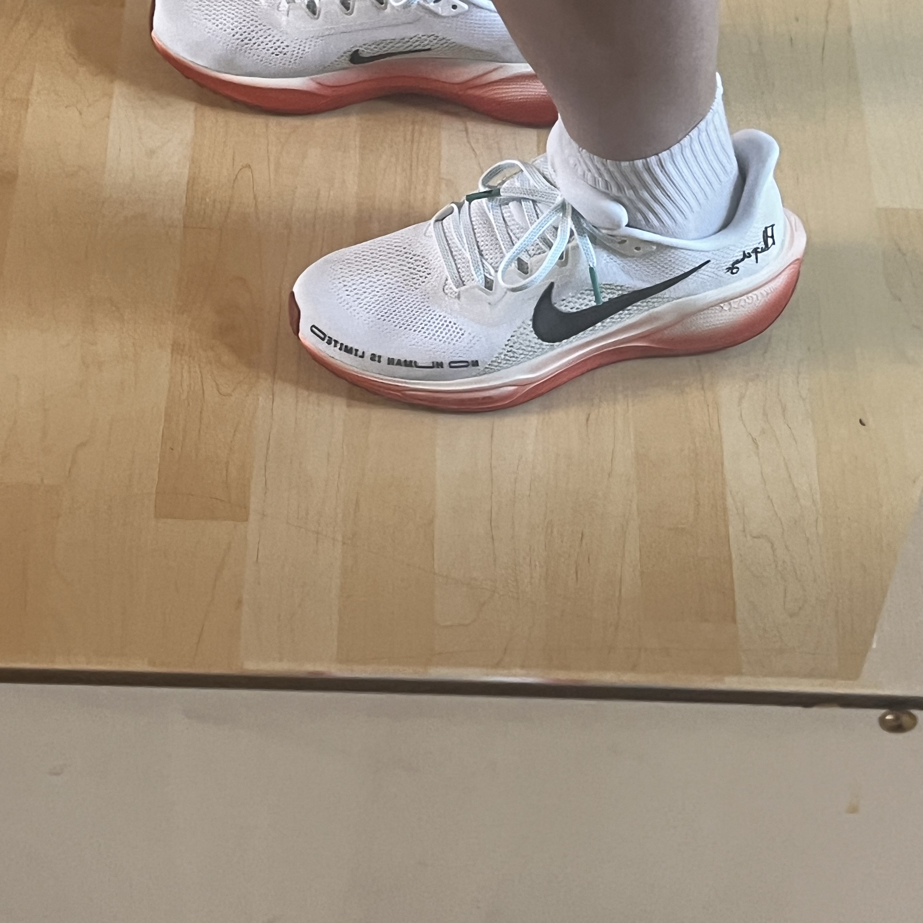 Nike Pegasus 41 Eliud Kipchoge 착용 스타일