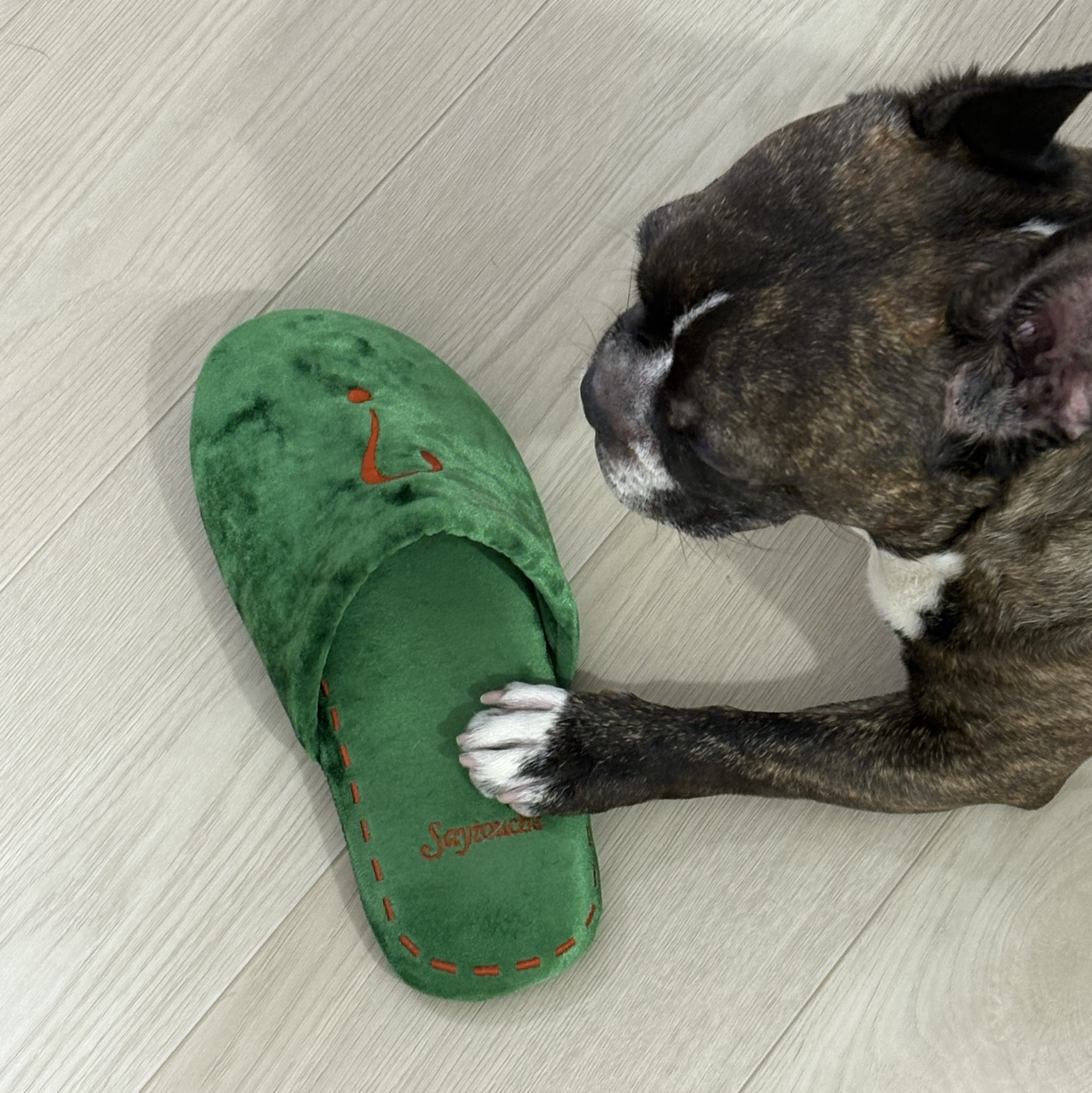 Say Touche Velvet Room Shoes Green 착용 스타일