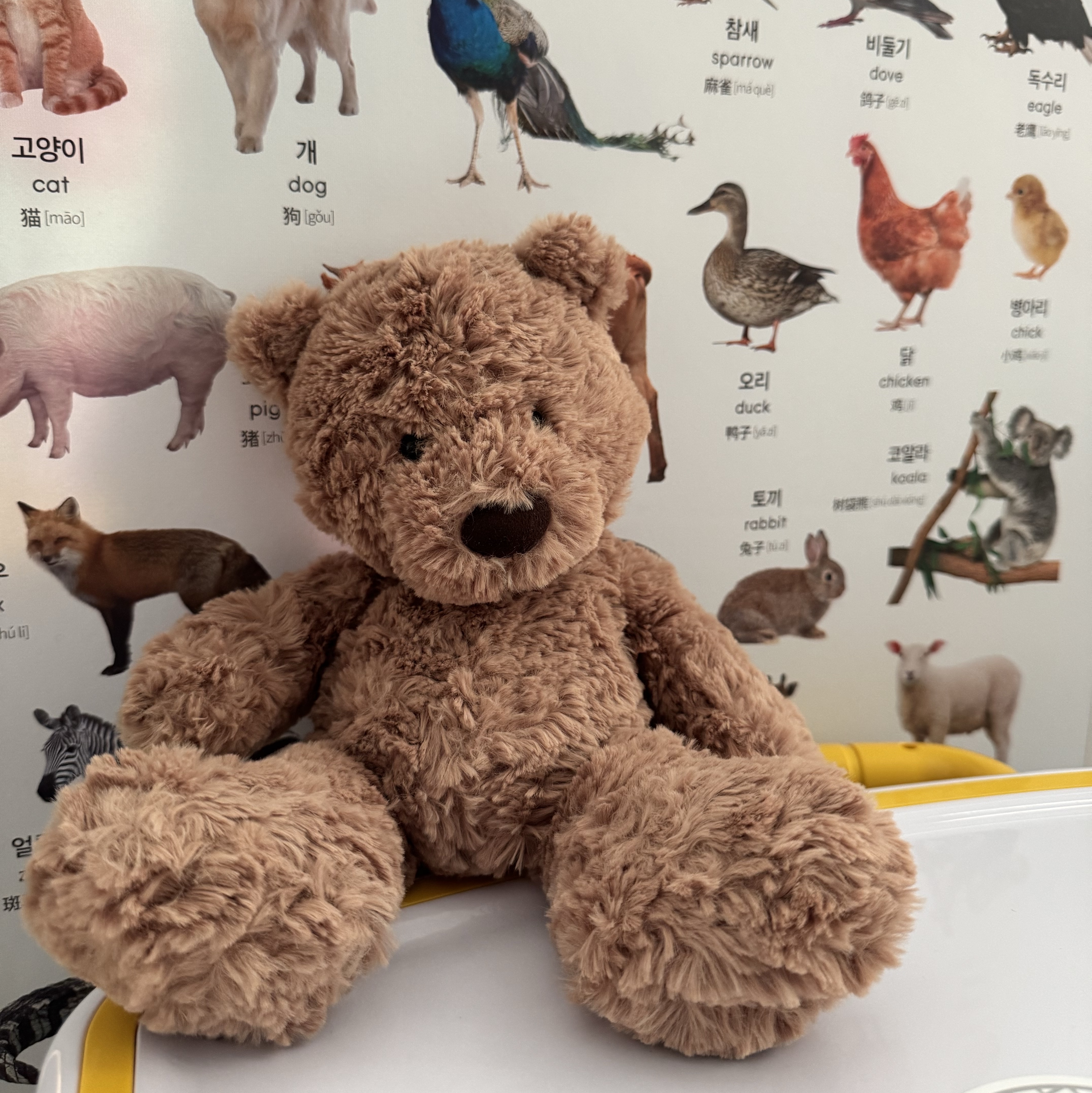 Jellycat Bumbly Bear Small Brown 착용 스타일 - 1