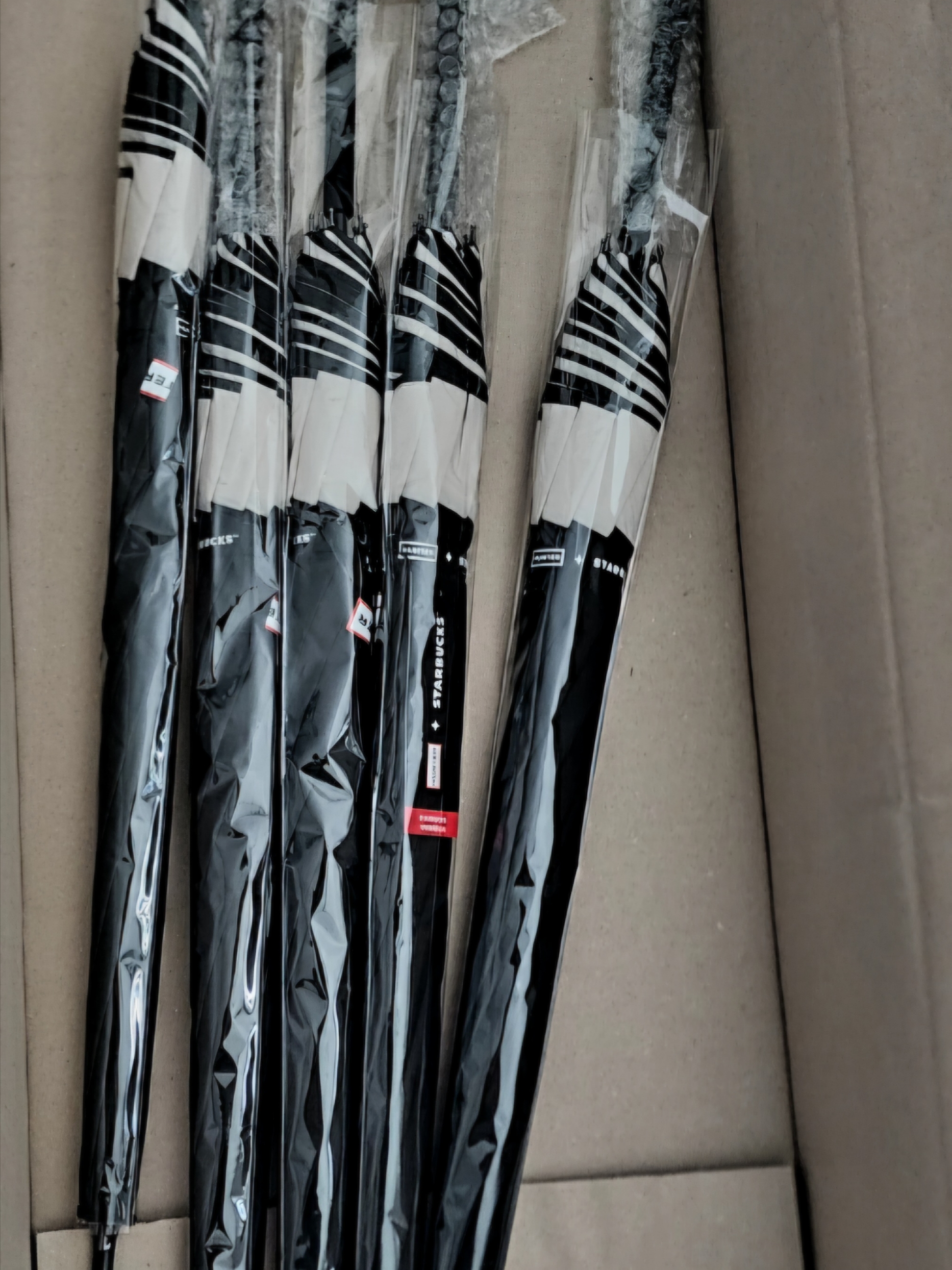 Starbucks x Hunter Light Umbrella Black 착용 스타일