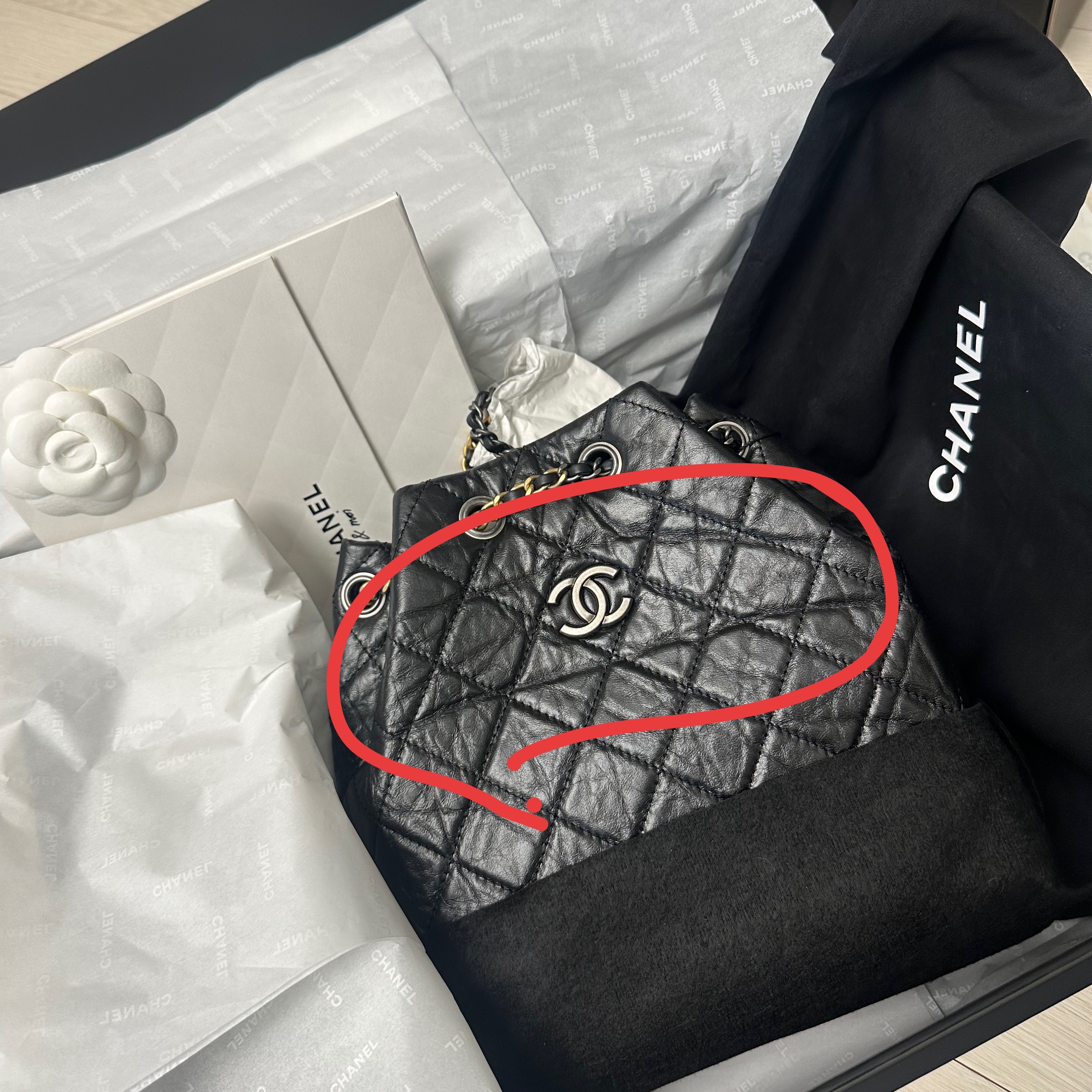 Chanel Small Gabrielle Backpack Aged Calfskin & Gold Silver Black 착용 스타일 - 1