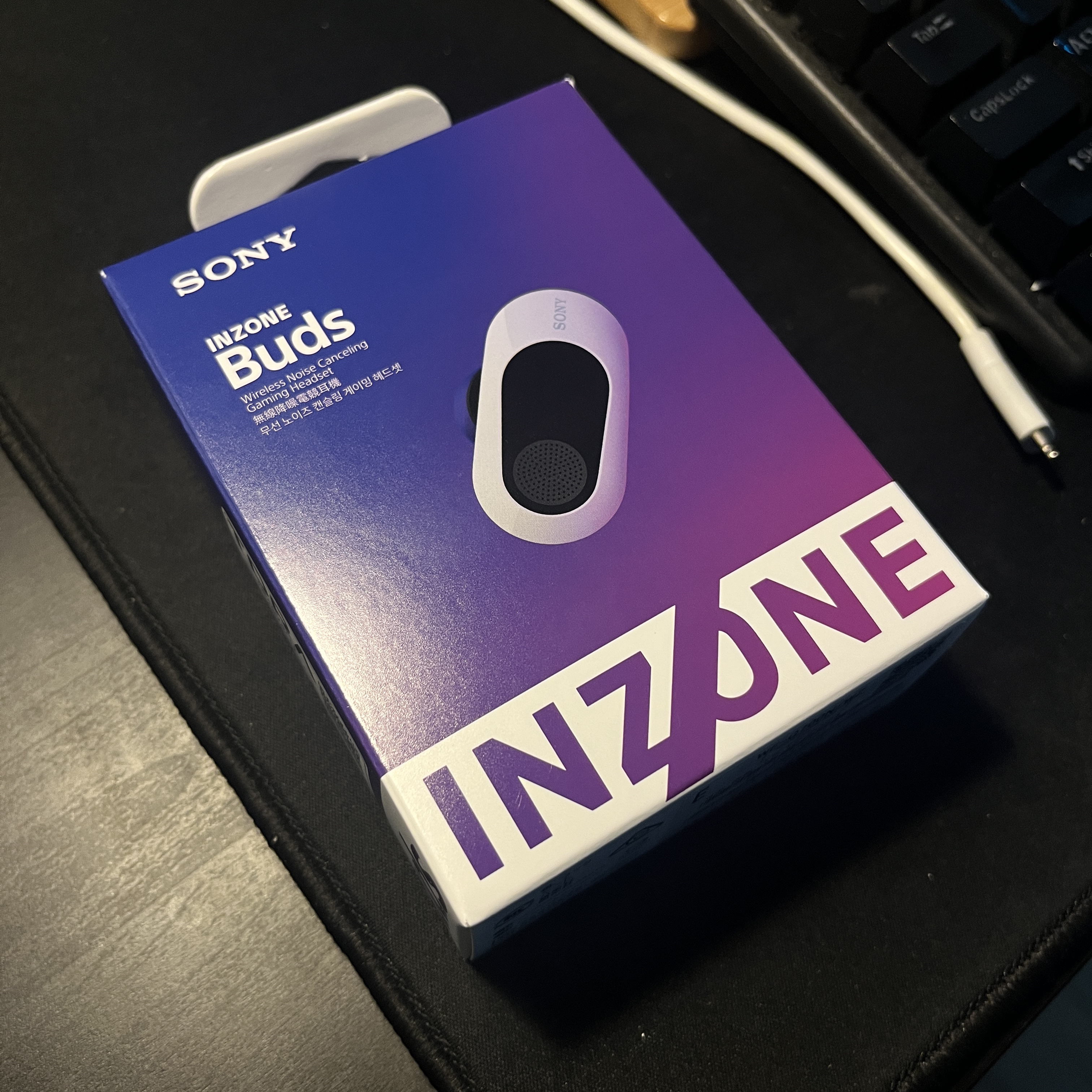 Sony INZONE Buds White (Sony Korea Ver.) 착용 스타일