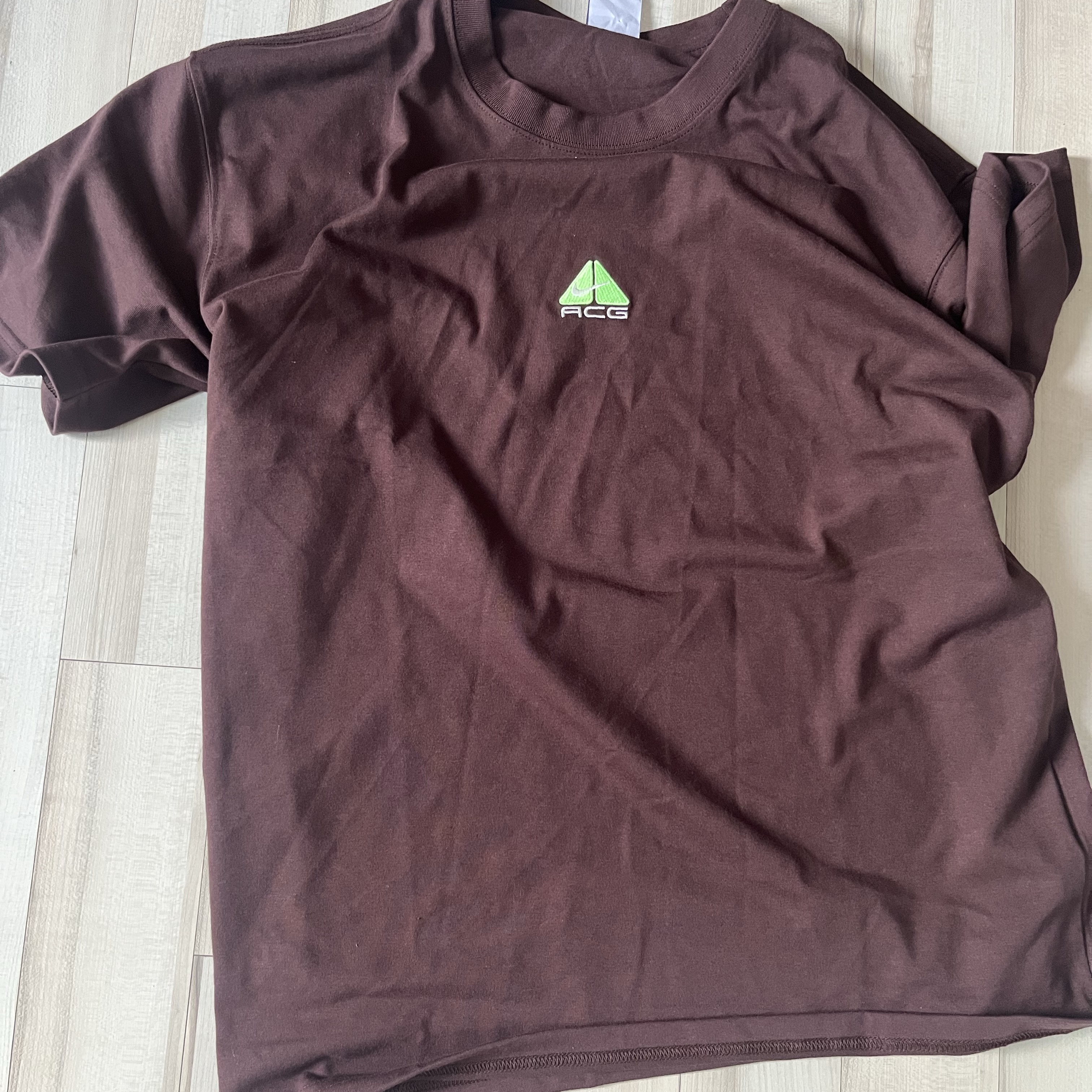 Nike ACG T-Shirt Earth - Asia 착용 스타일
