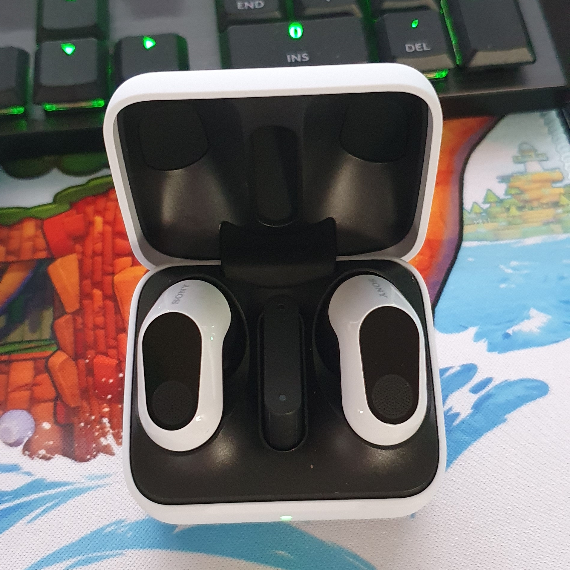 Sony INZONE Buds White (Sony Korea Ver.) 착용 스타일