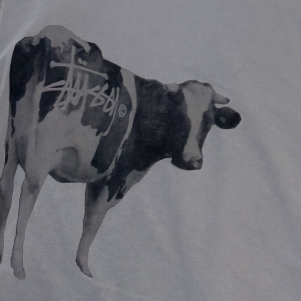Stussy Grassfed T-Shirt White 착용 스타일