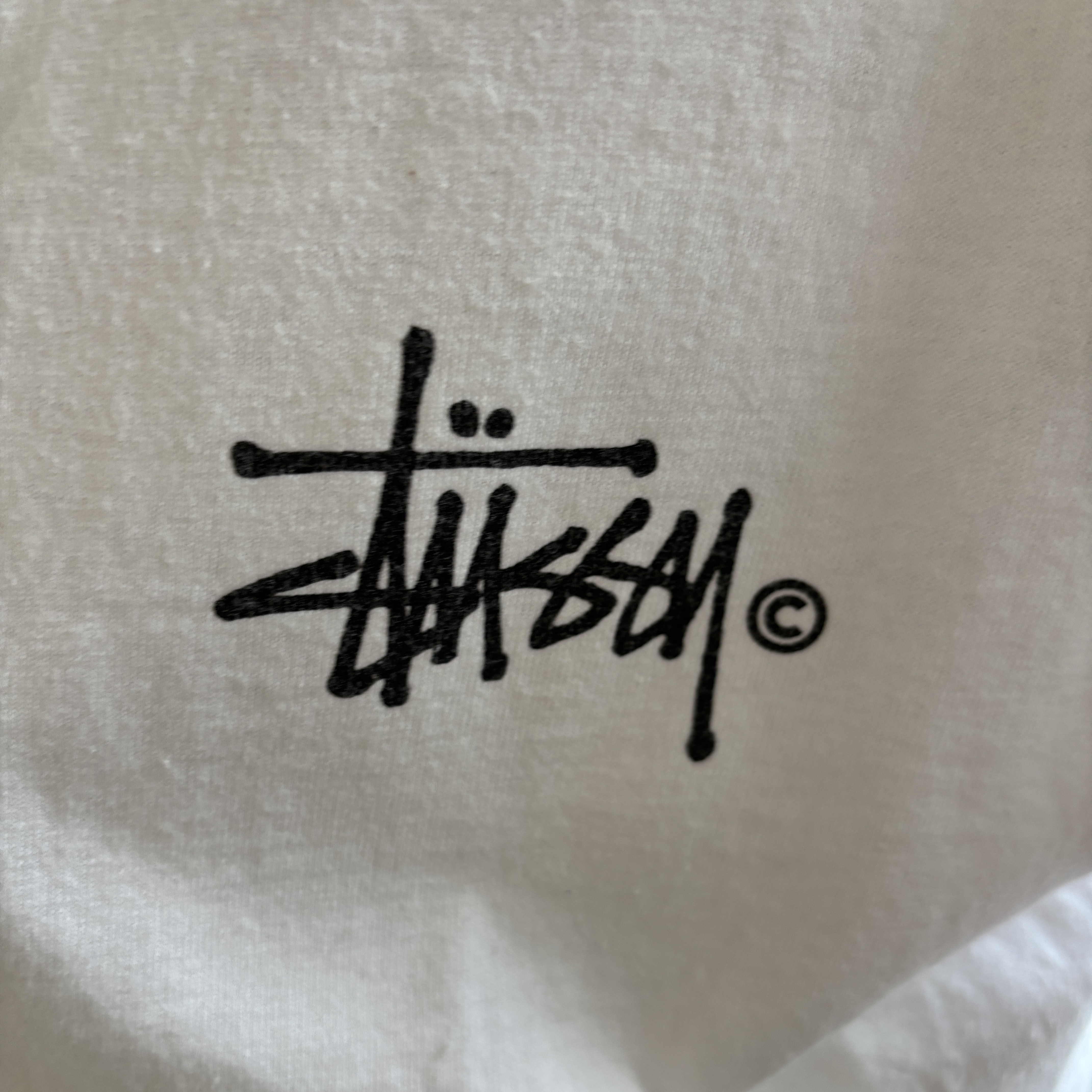 Stussy Grassfed T-Shirt White 착용 스타일