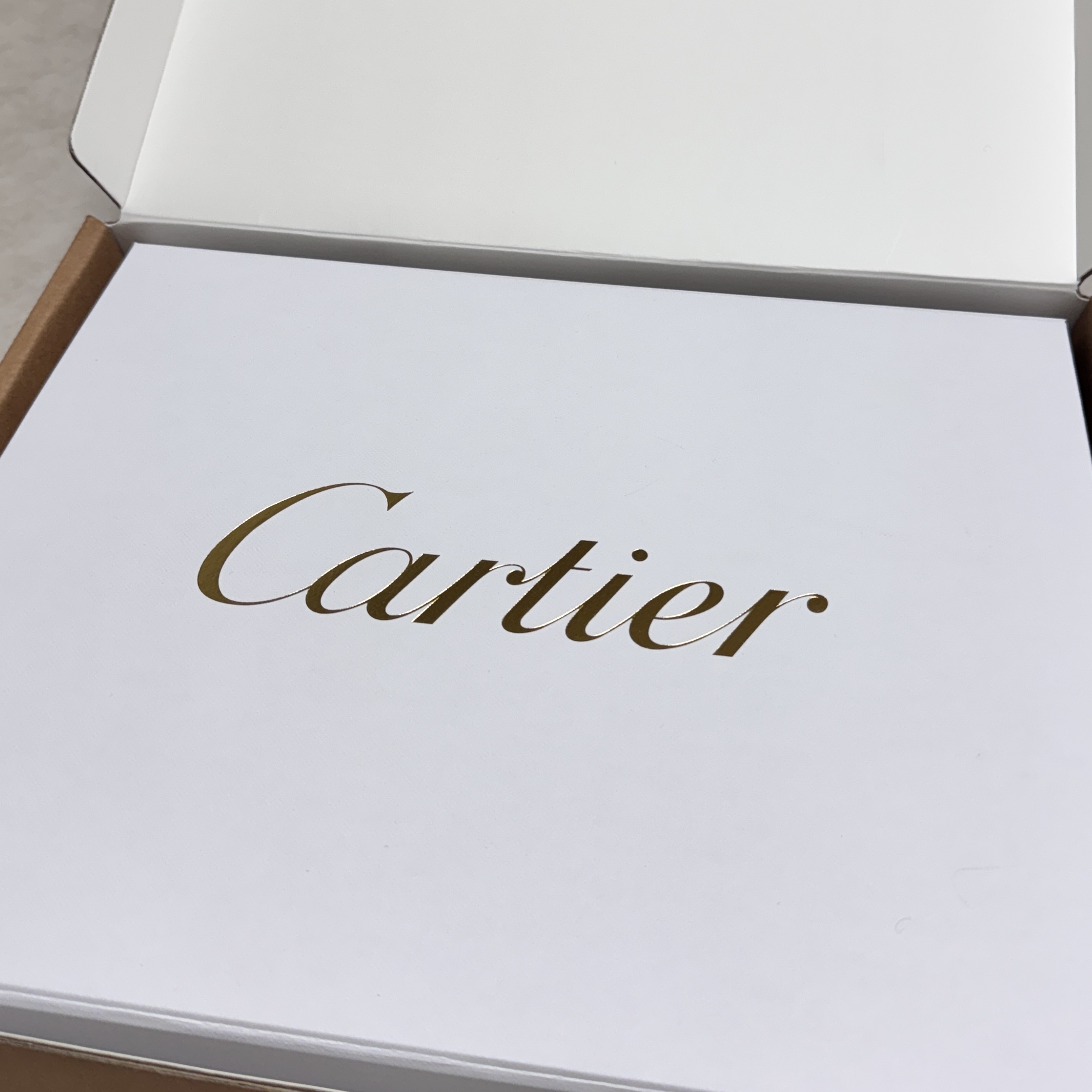 Cartier Tank Must Watch Large Quartz Steel Bracelet Steel 착용 스타일 - 3