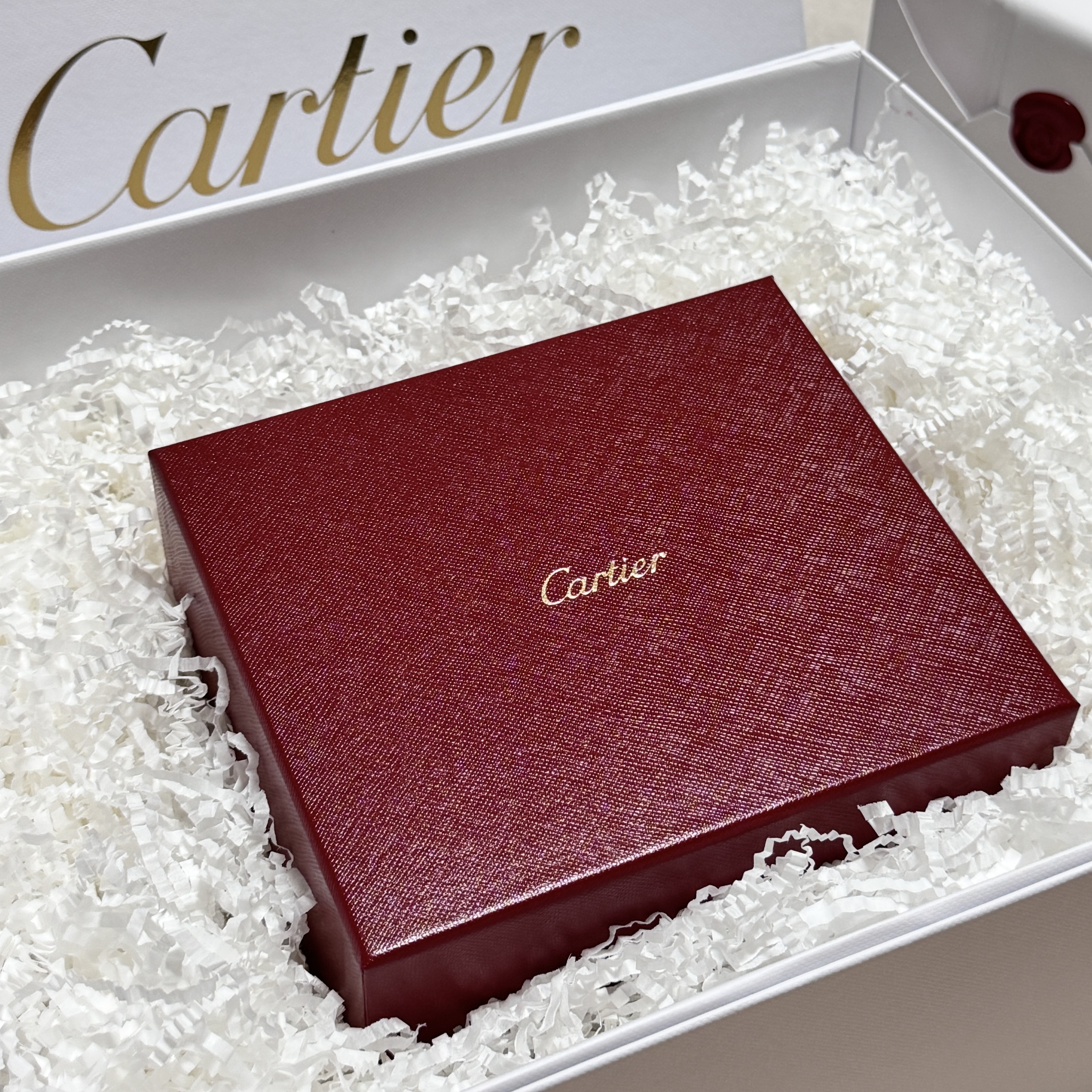 Cartier Tank Must Watch Large Quartz Steel Bracelet Steel 착용 스타일 - 2