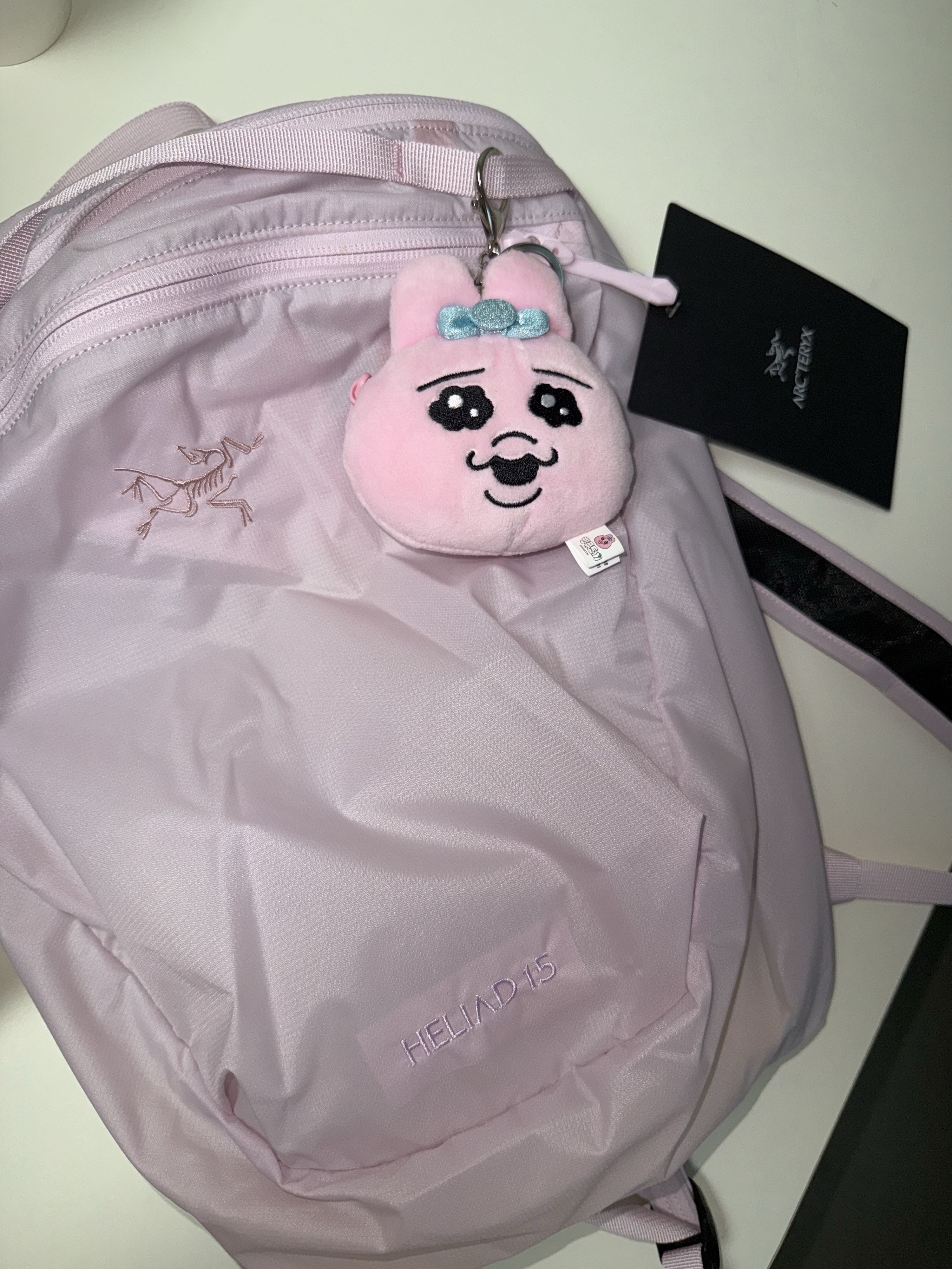 Arc'teryx Heliad 15 Backpack Pink Glow 착용 스타일