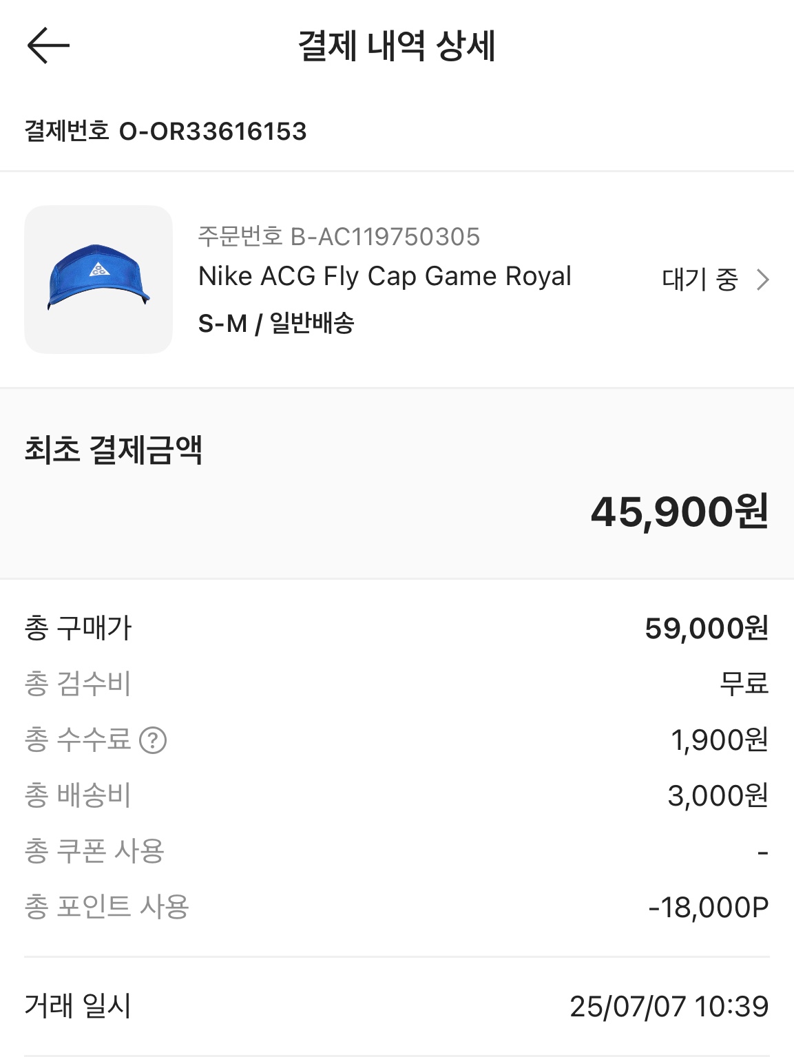 Nike ACG Fly Cap Game Royal 착용 스타일 - 1