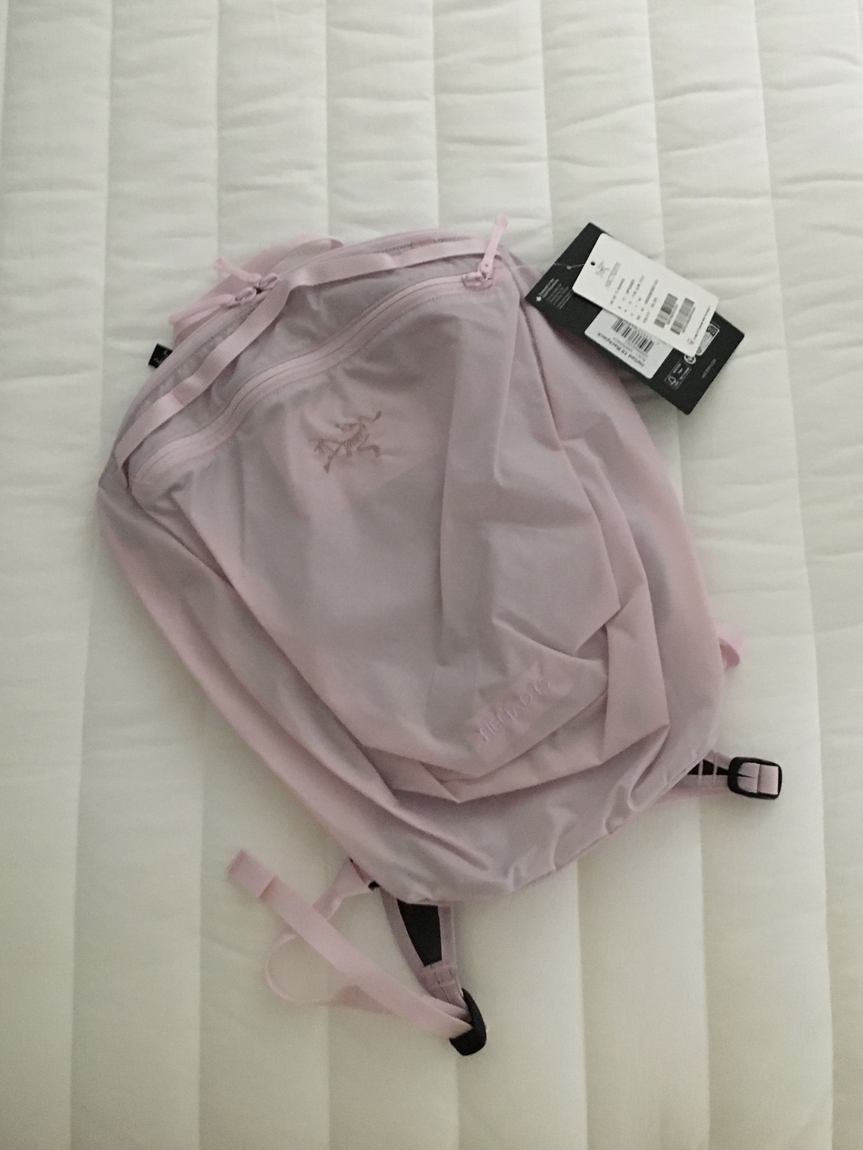 Arc'teryx Heliad 15 Backpack Pink Glow 착용 스타일 - 2