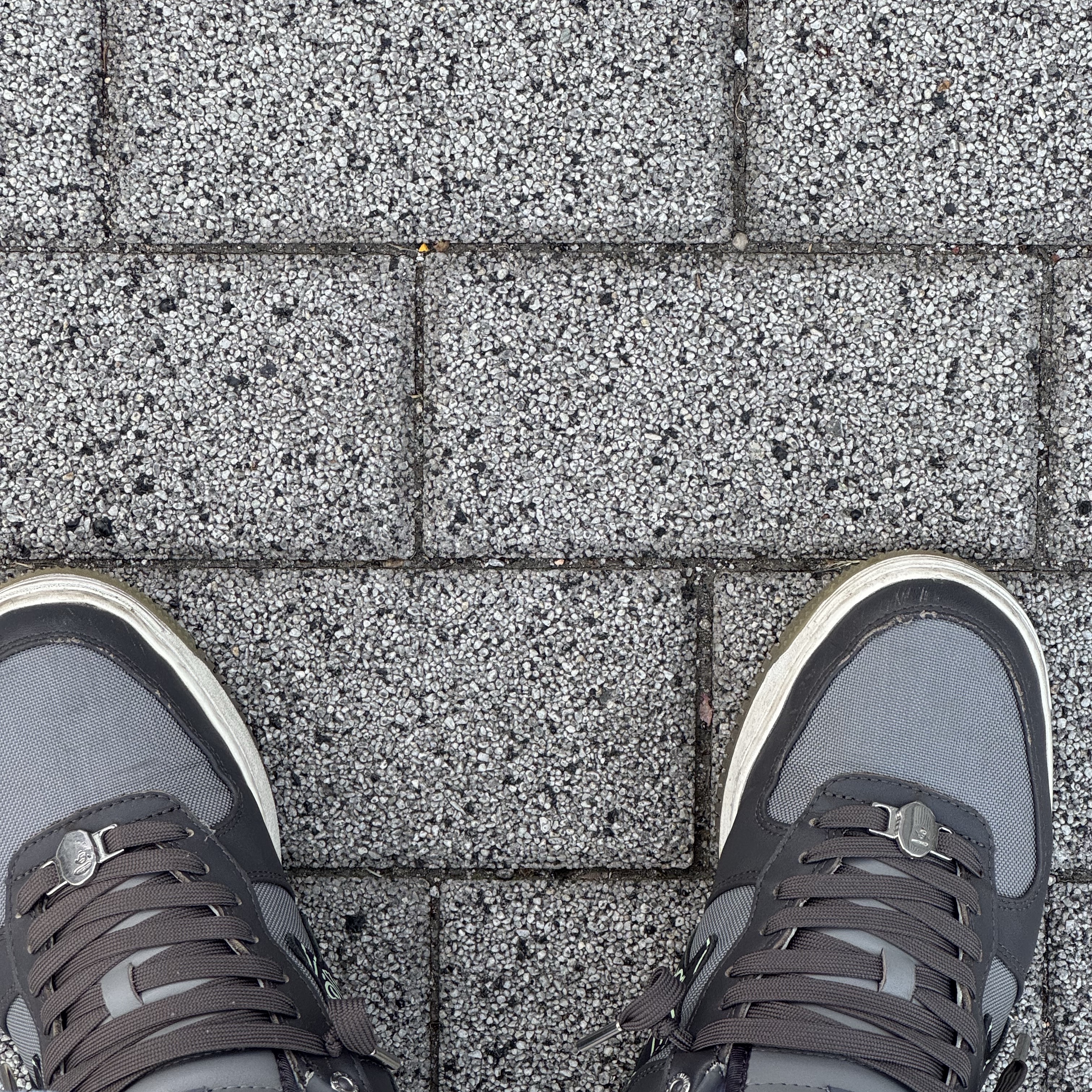 BAPE Bape Sta Low #1 Dark Grey 착용 스타일