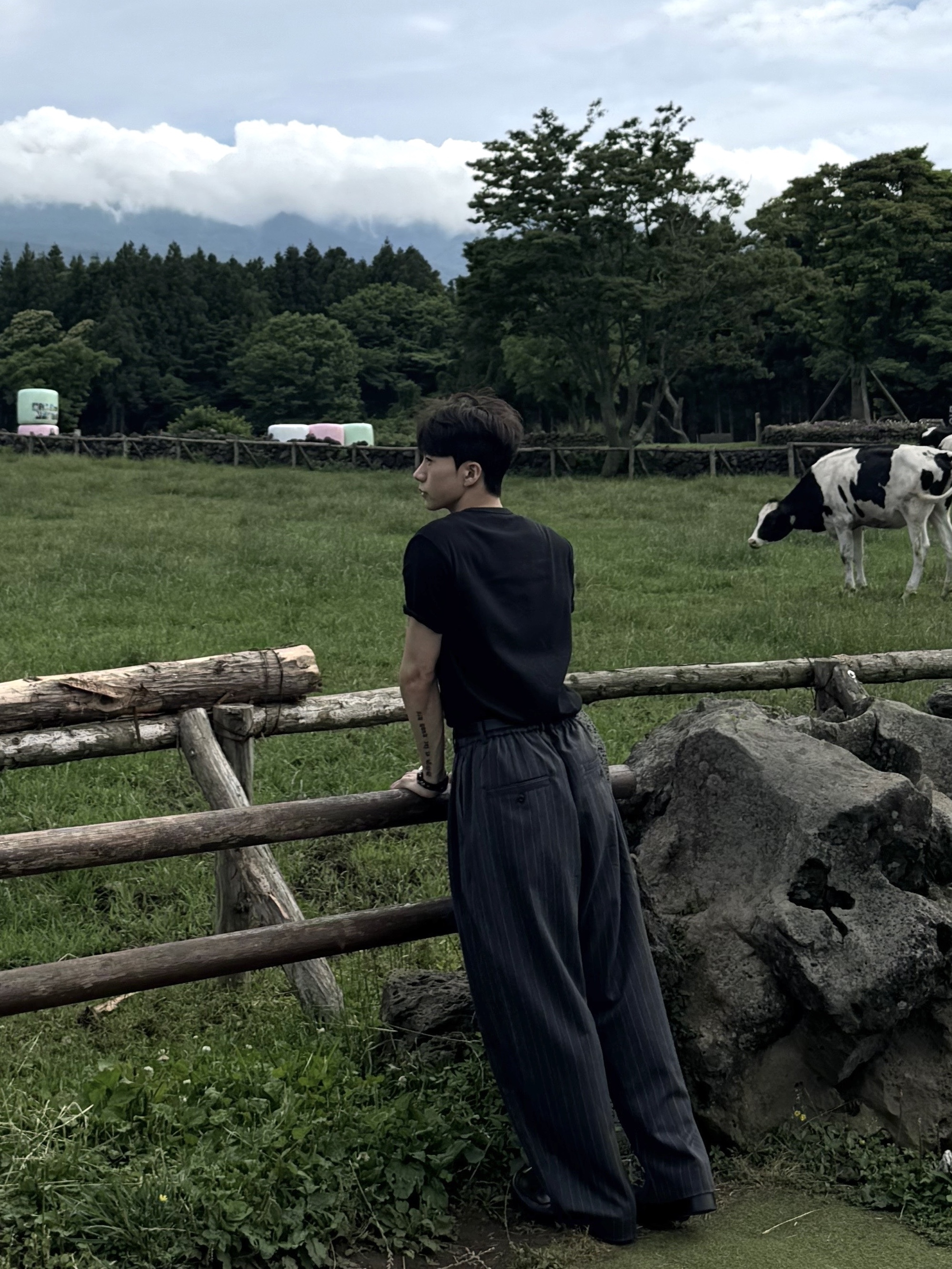 noun Wide Tapered Pants Stripe Charcoal 착용 스타일 - 5