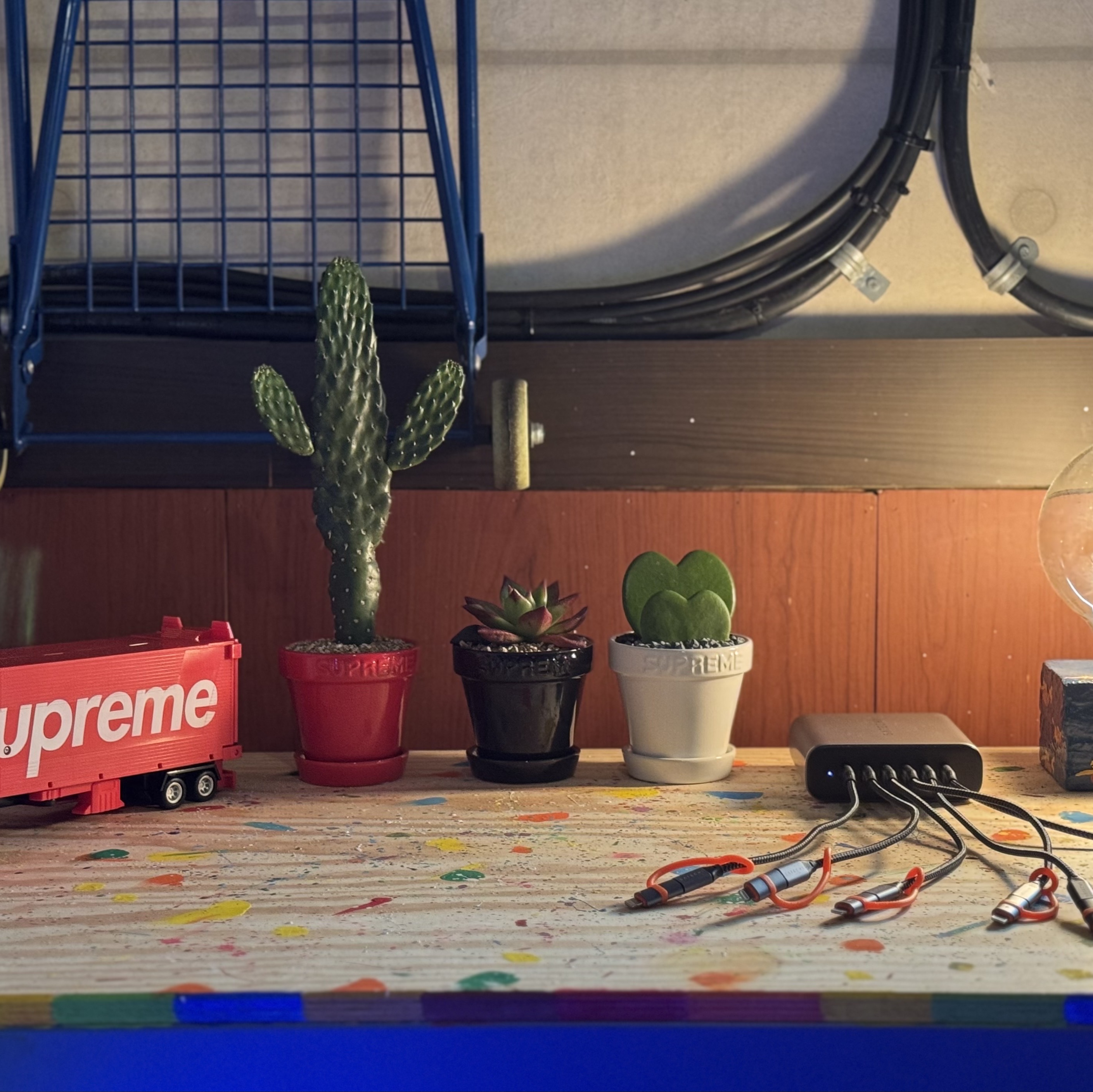 Supreme Mini Planters Multicolor (Set of 3) - 25SS 착용 스타일