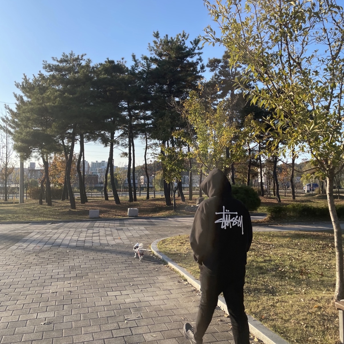 Stussy Basic Stussy Zip Hoodie Black 2022 착용 스타일