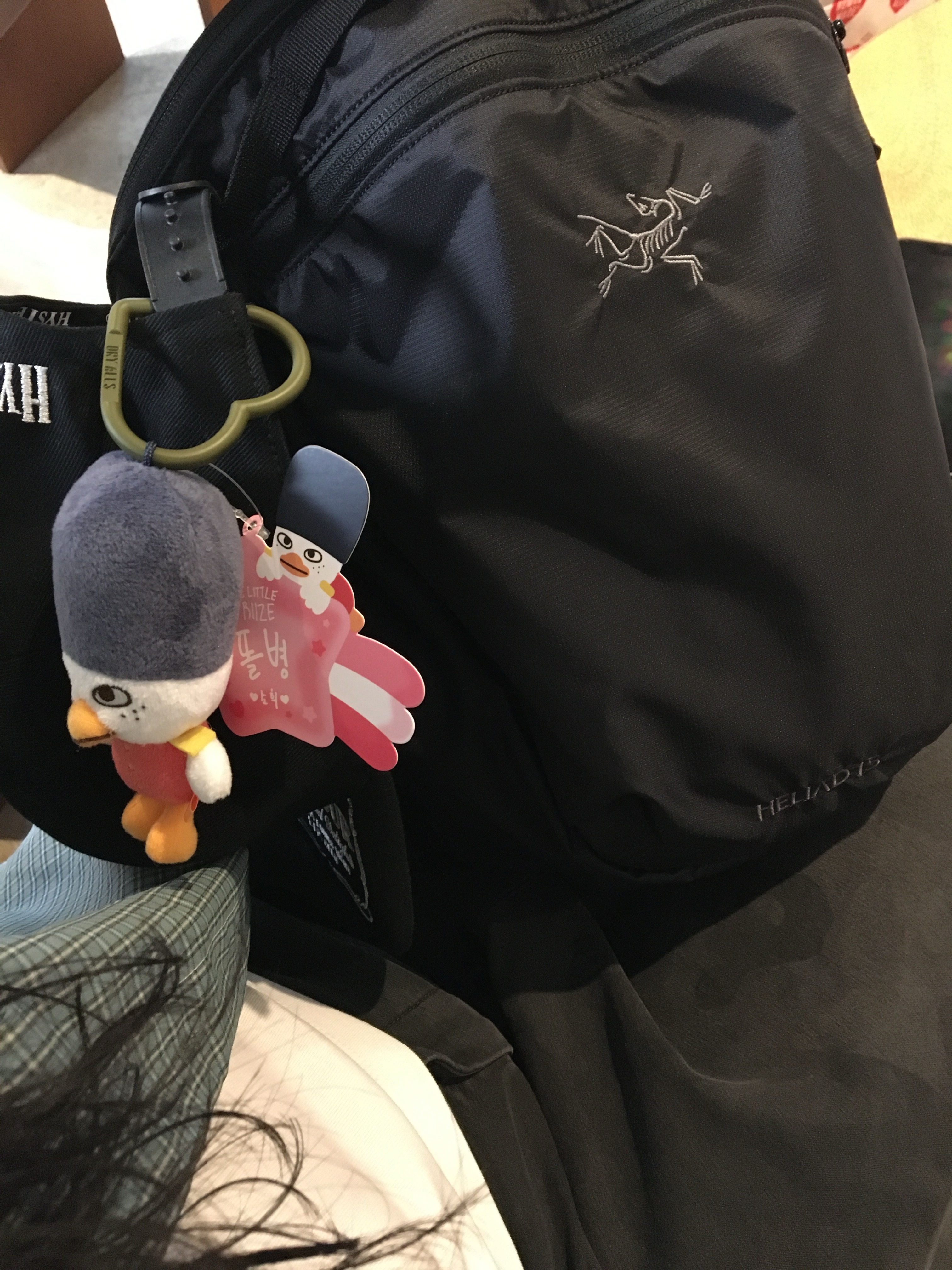 Arc'teryx Heliad 15 Backpack Black, Riize Little Riize Keyring Sohee 착용 스타일