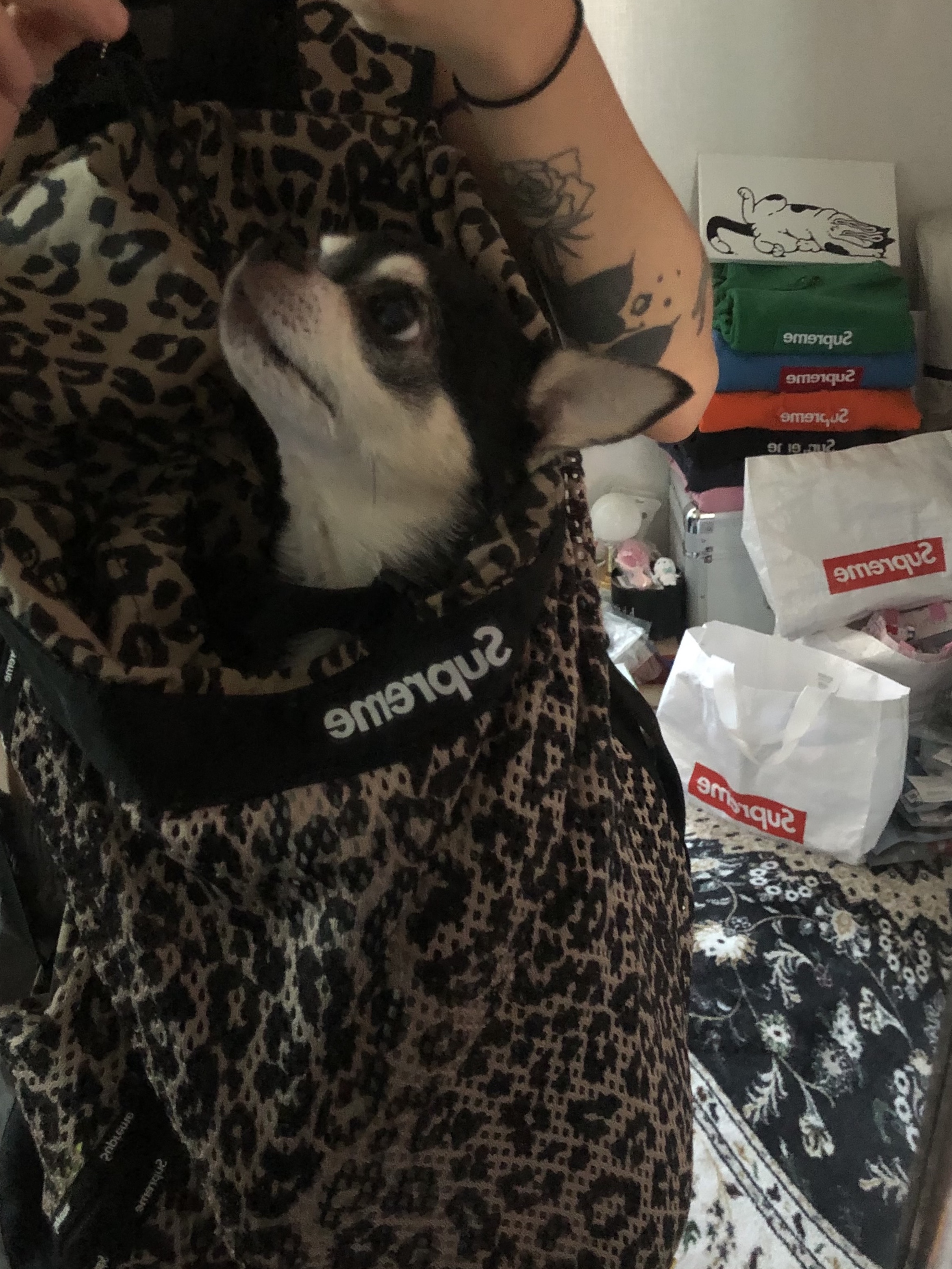 Supreme Mesh Backpack Leopard - 23SS, Supreme x Ducati Track Pants Black - 24SS 착용 스타일 - 3