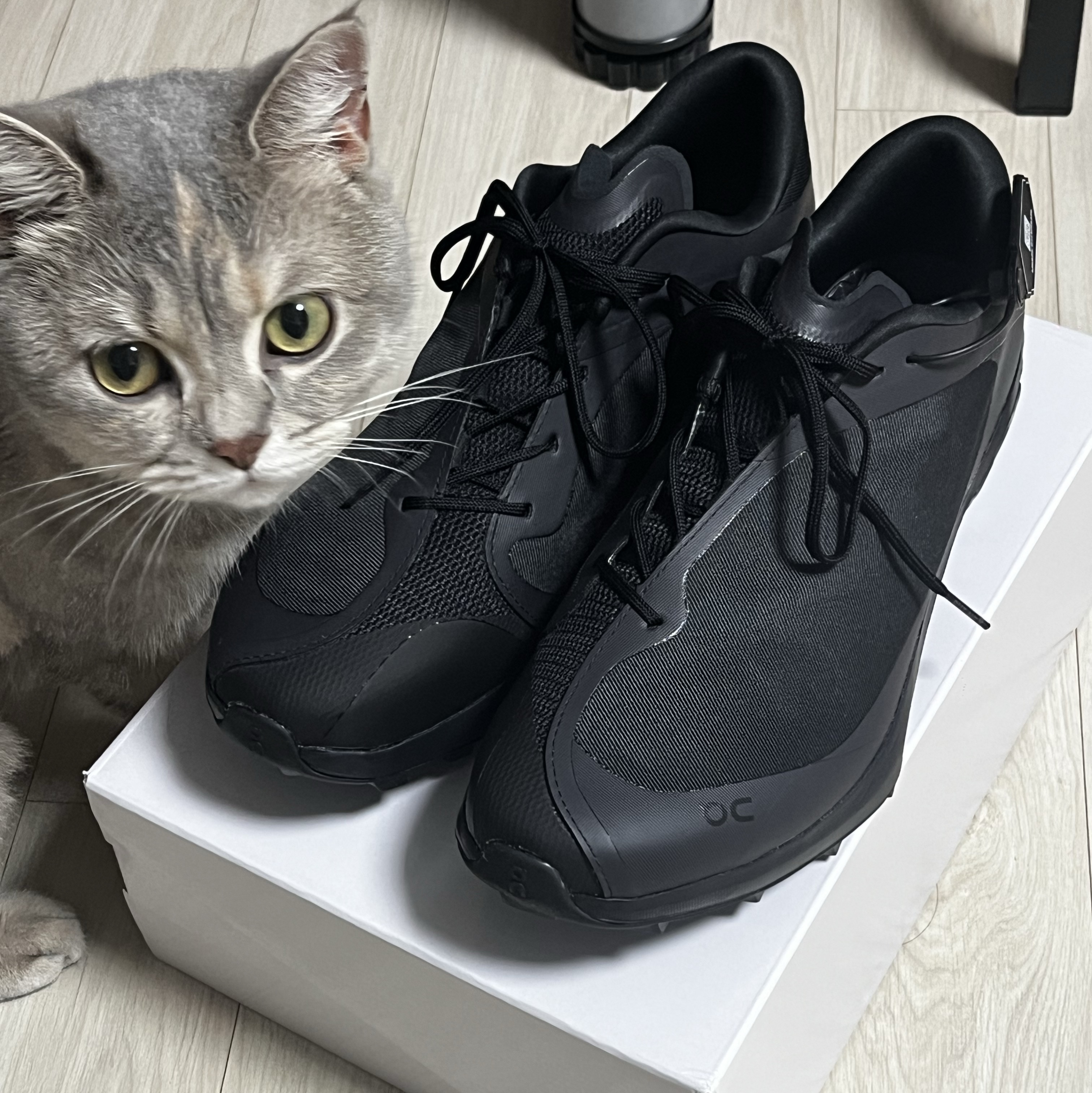 On Running x Post Archive Faction (Paf) Cloudventure Peak All Black 착용 스타일