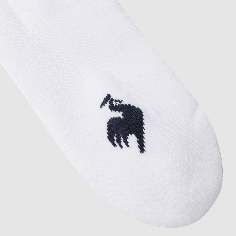 르꼬끄 스포르티브 쿠션 로우삭스 - 화이트:레드(QQ323ASC75)(le coq sportif Cushion Low Socks White:Red) - 5