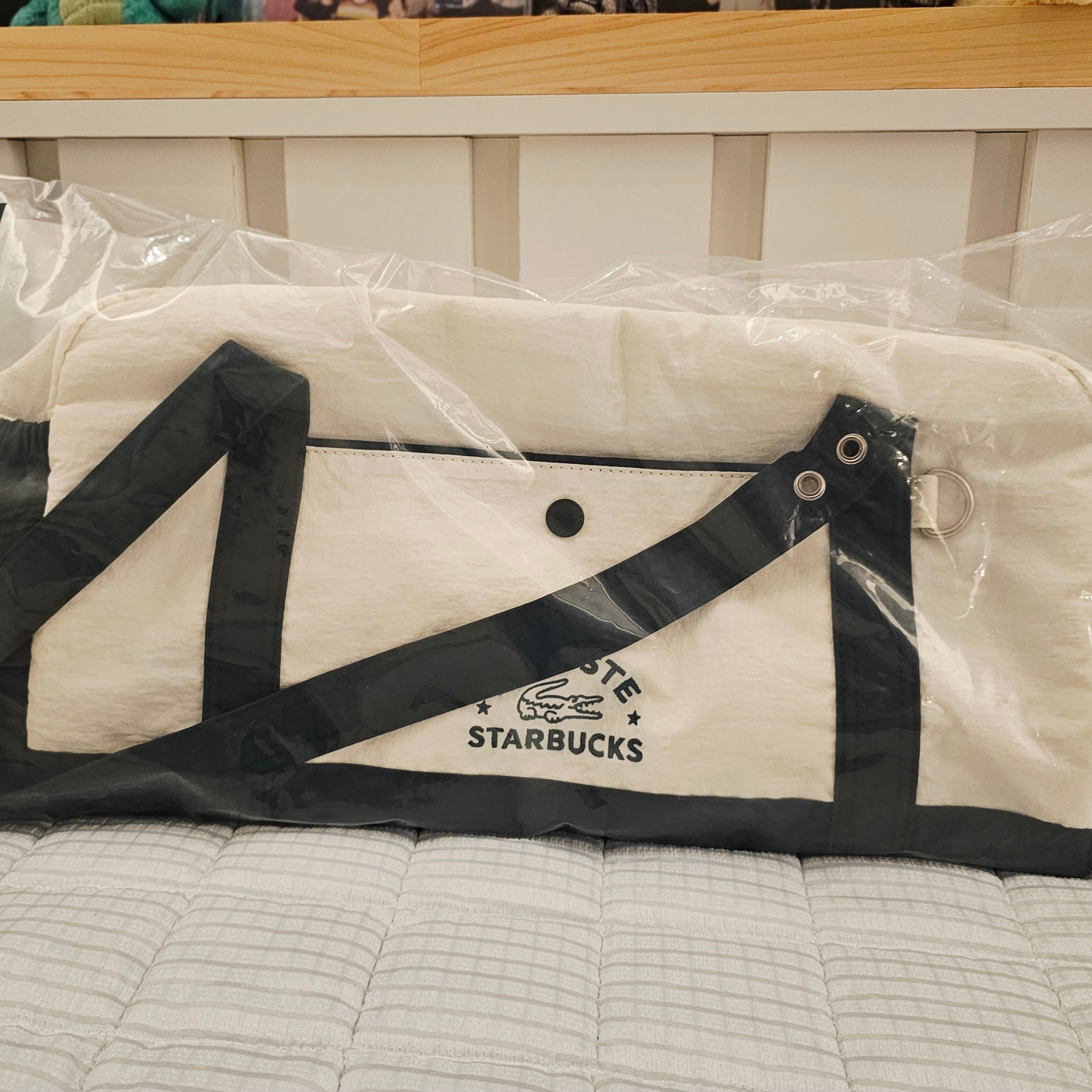 Starbucks x Lacoste Multiple Bag Green 착용 스타일
