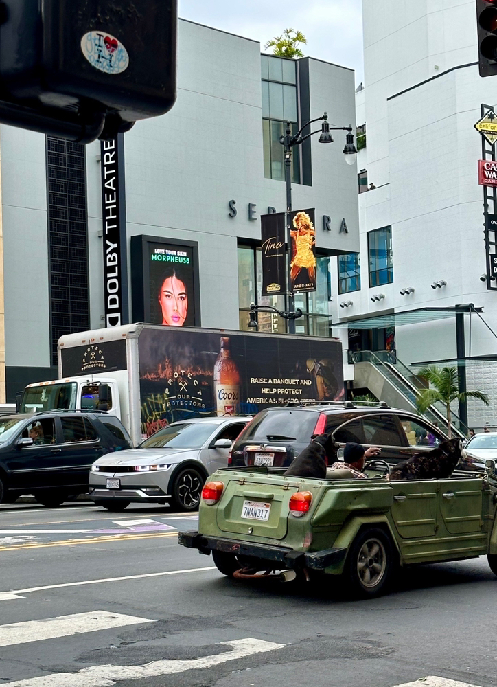 관심 유저 프로필 이미지