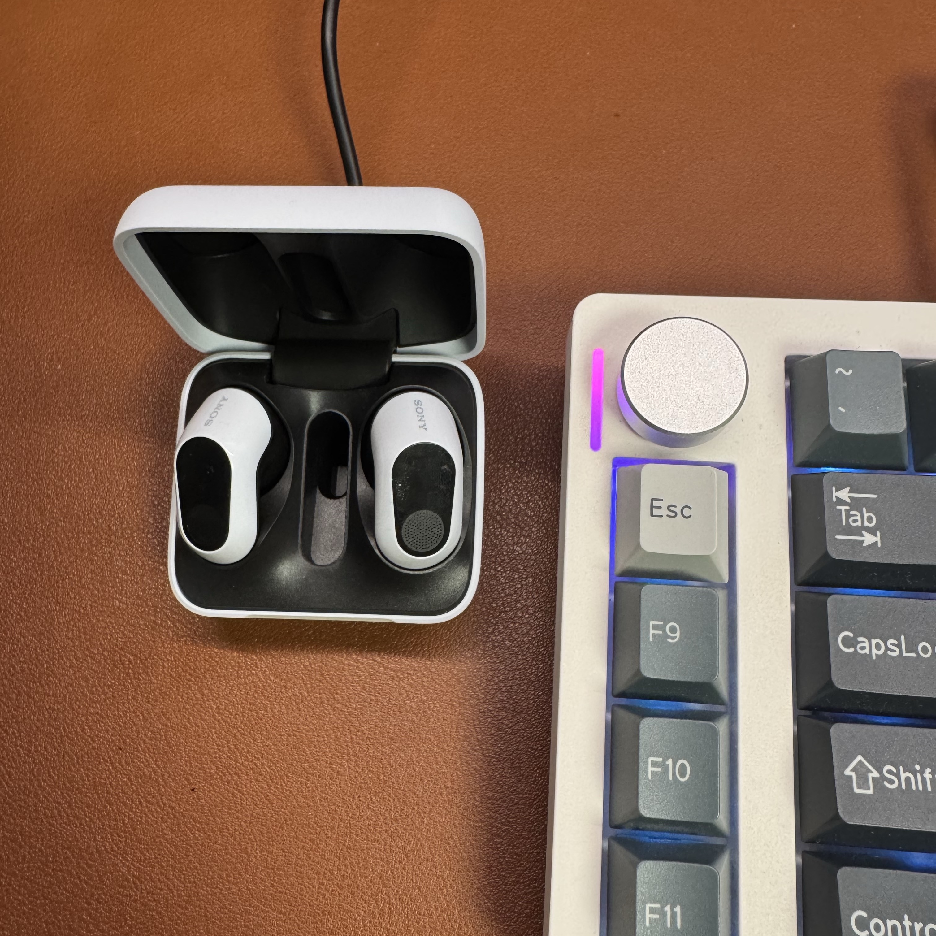 Sony INZONE Buds White (Sony Korea Ver.) 착용 스타일