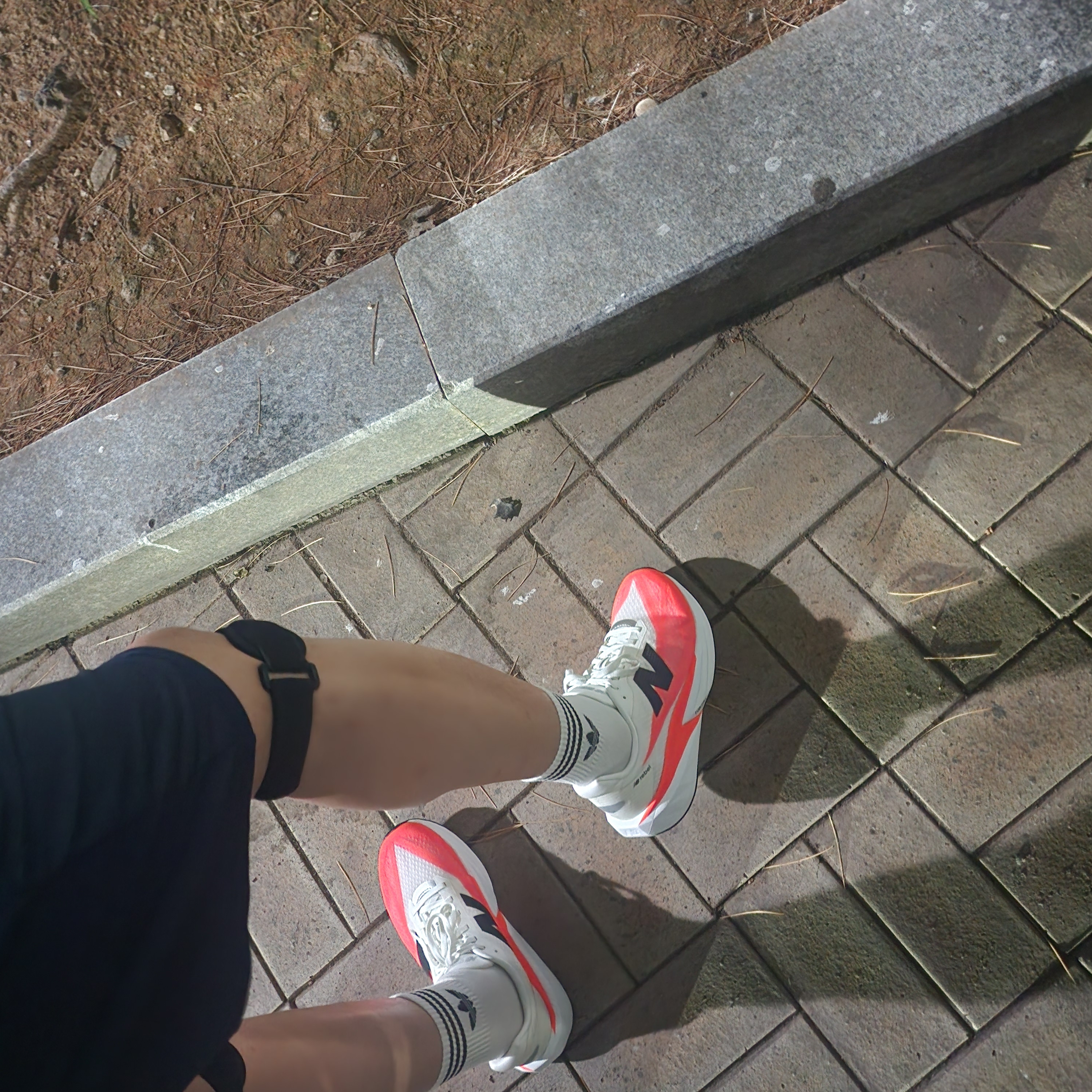 New Balance FuelCell Rebel v5 Urgent Red White Sea Salt - 2E Wide 착용 스타일 - 4