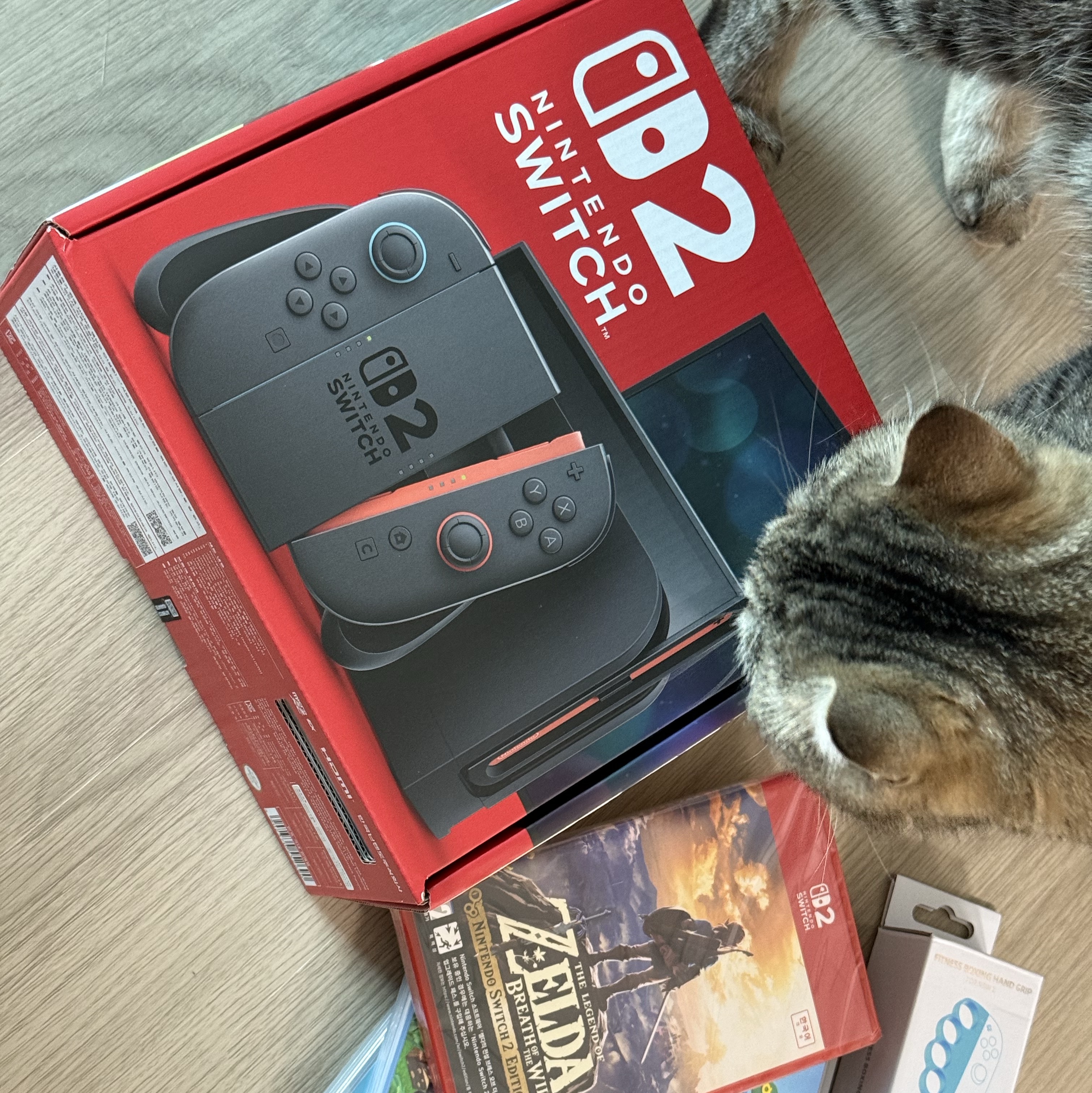 Nintendo Switch 2 Black (Korean Ver.) 착용 스타일