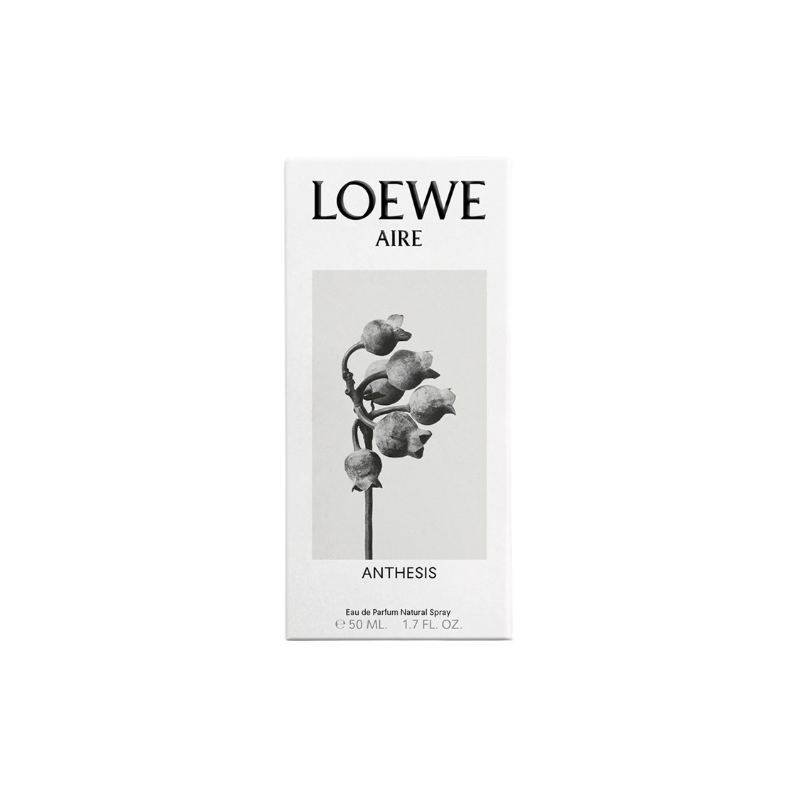 LOEWE AIRE ANTHESIS 50ml オードパルファム ロエベ LOEWE AIRE