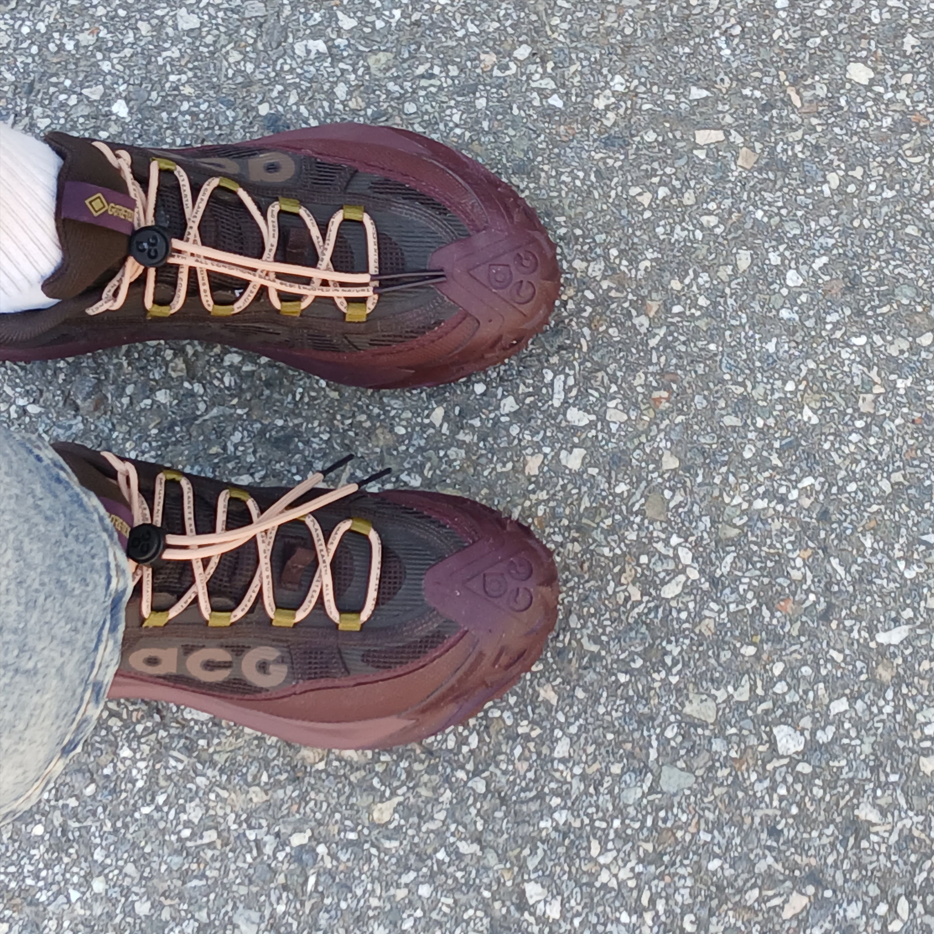 Nike ACG Mountain Fly 2 Low Gore-Tex Burgundy Crush and Velvet Brown 착용 스타일