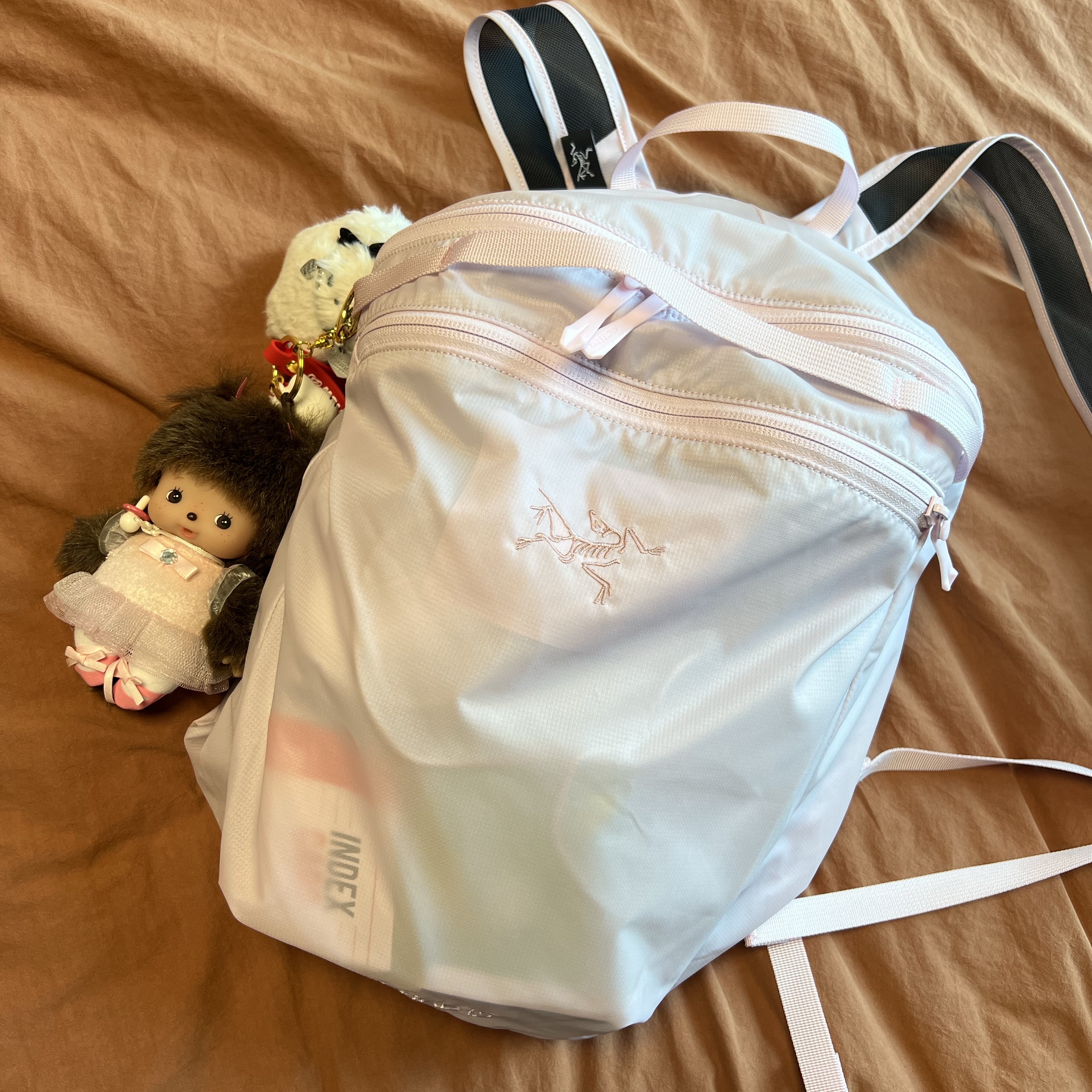 Arc'teryx Heliad 15 Backpack Pink Glow 착용 스타일