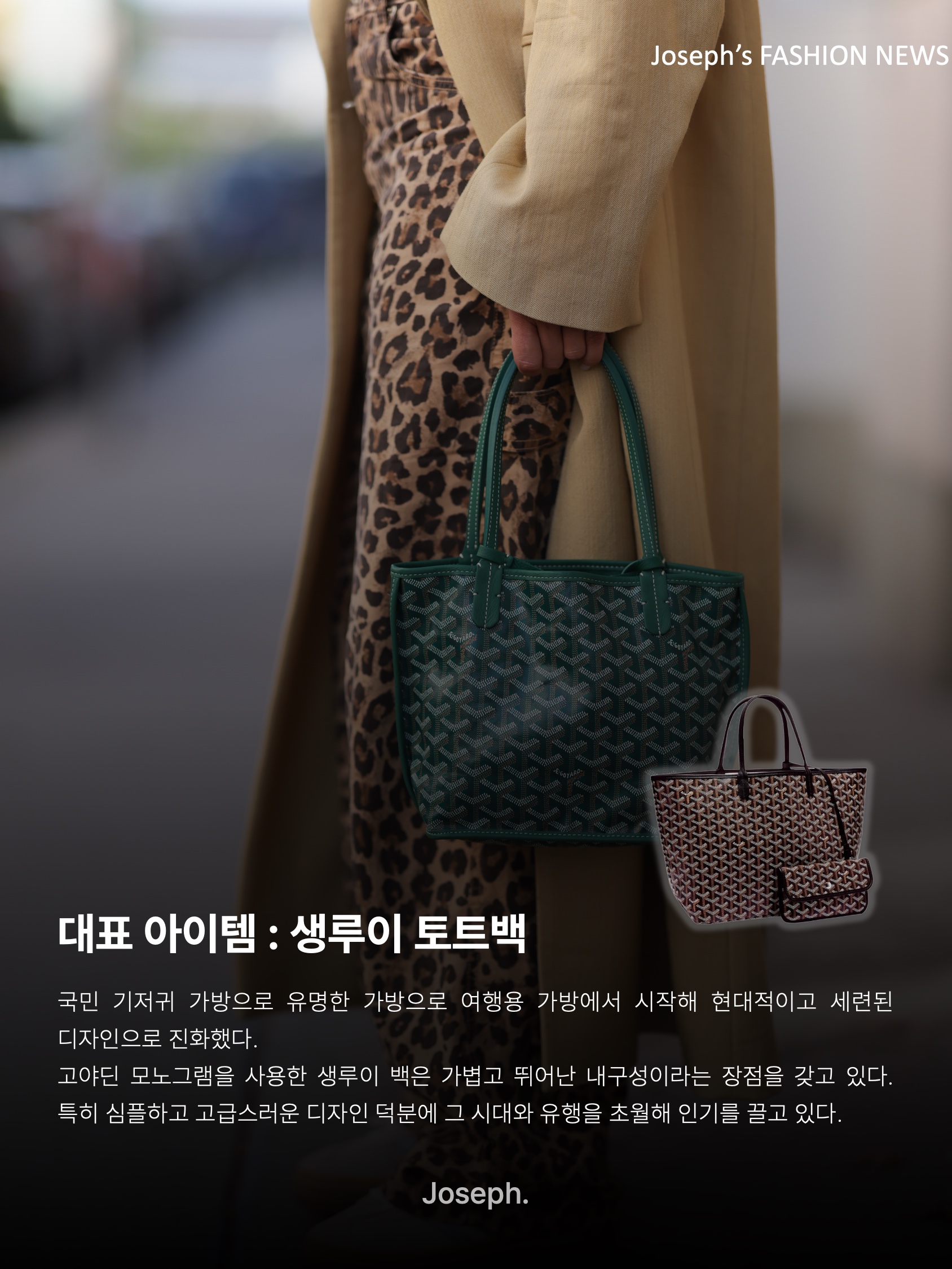 Goyard Saint Sulpice Card Holder Green, Goyard Boheme Hobo PM Bag Black 착용 스타일 - 9