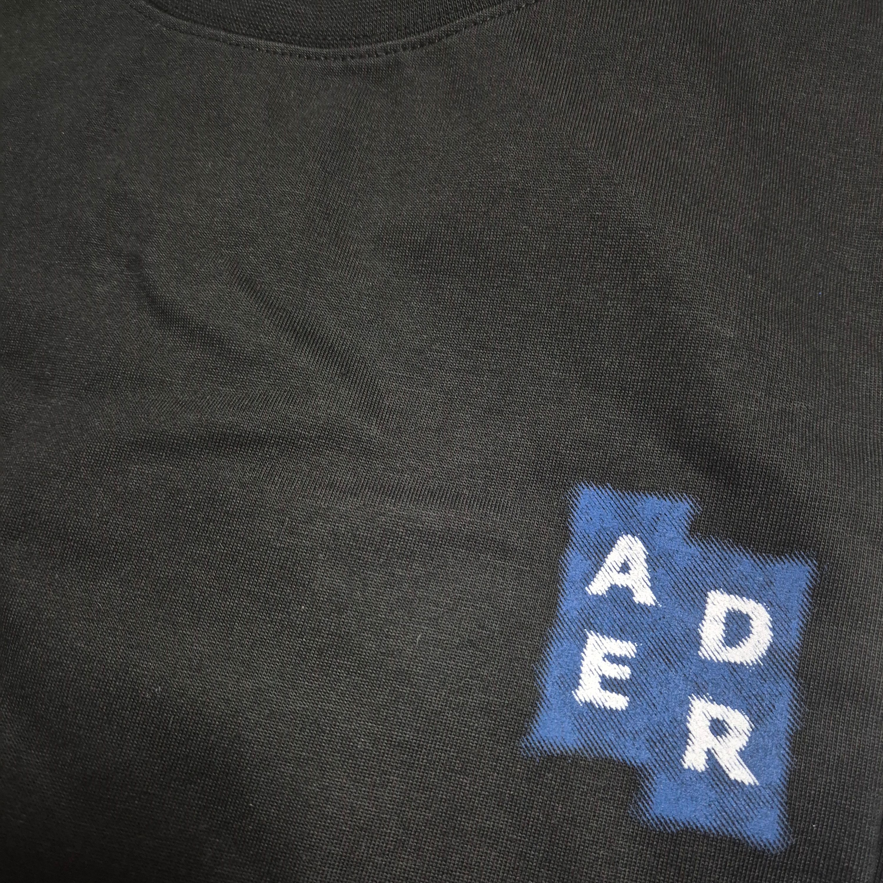 Ader Error Sig; TRS/BL Tag T-Shirt 04 Black 착용 스타일