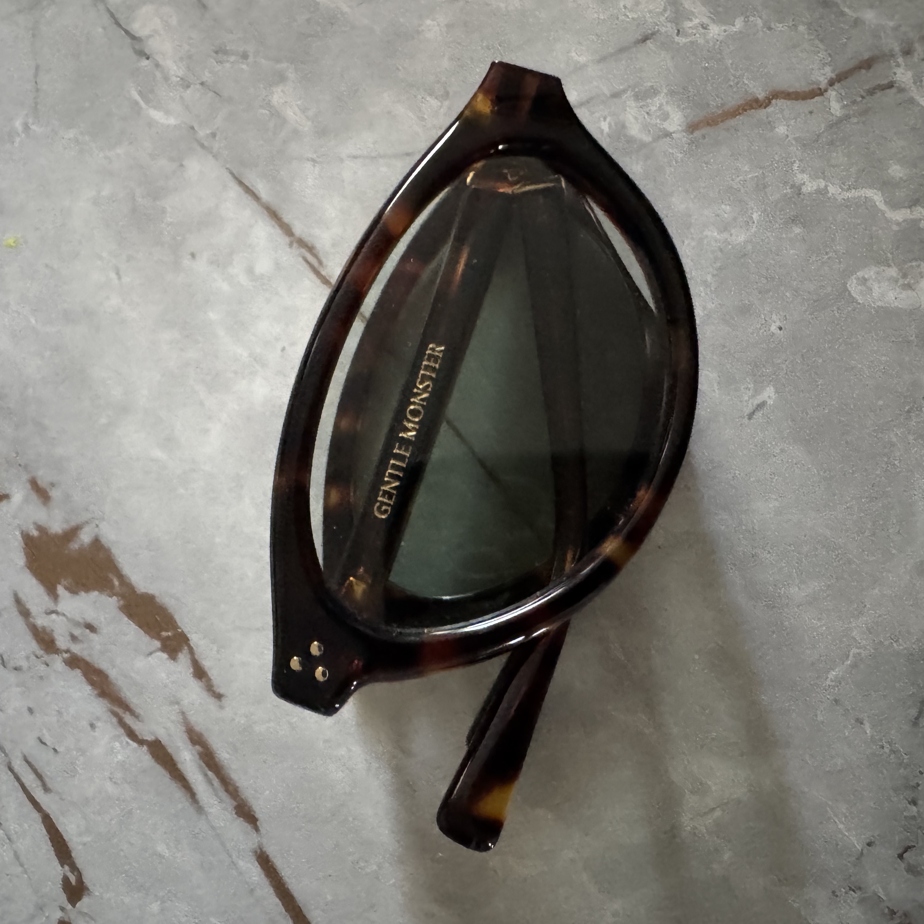 Gentle Monster Takion T1 Tortoise Green 착용 스타일