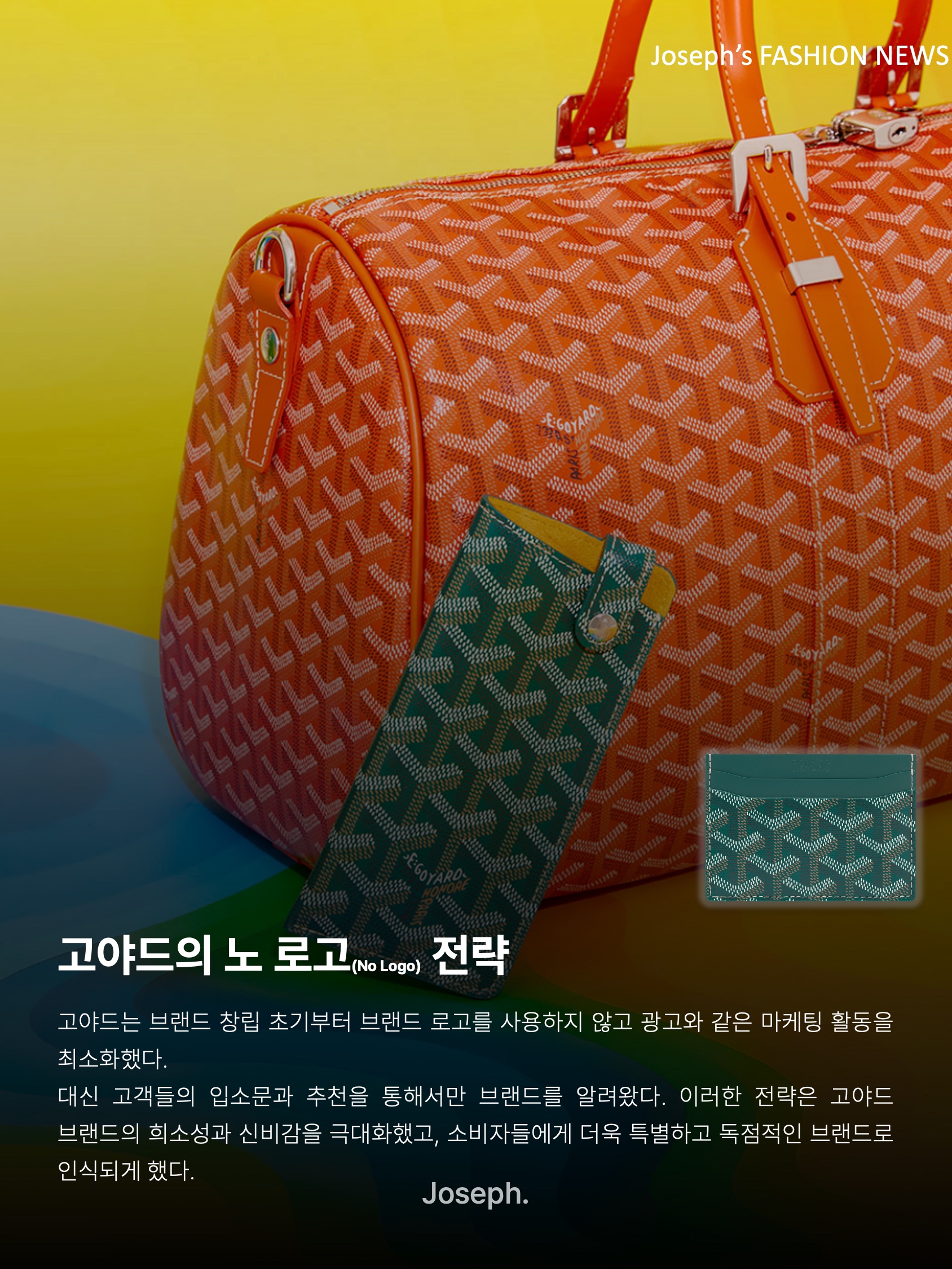 Goyard Saint Sulpice Card Holder Green, Goyard Boheme Hobo PM Bag Black 착용 스타일 - 5