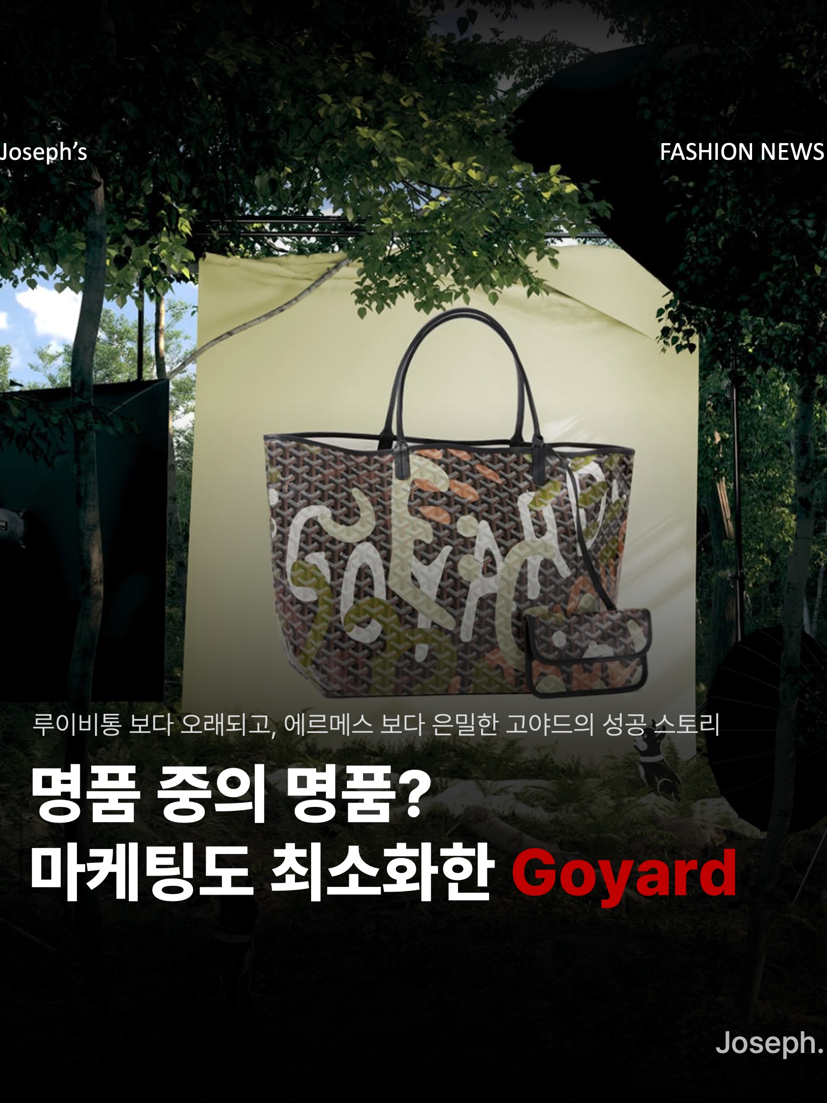 Goyard Saint Sulpice Card Holder Green, Goyard Boheme Hobo PM Bag Black 착용 스타일 - 1