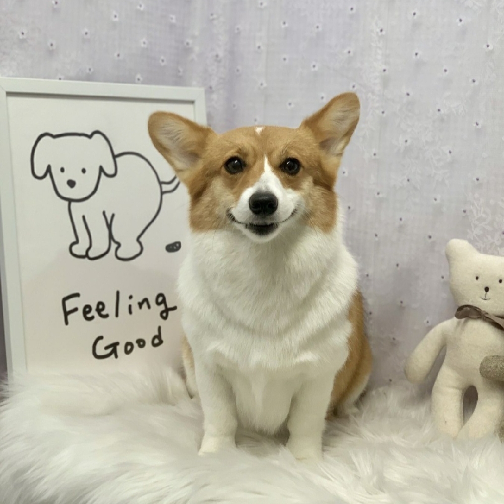 관심 유저 프로필 이미지