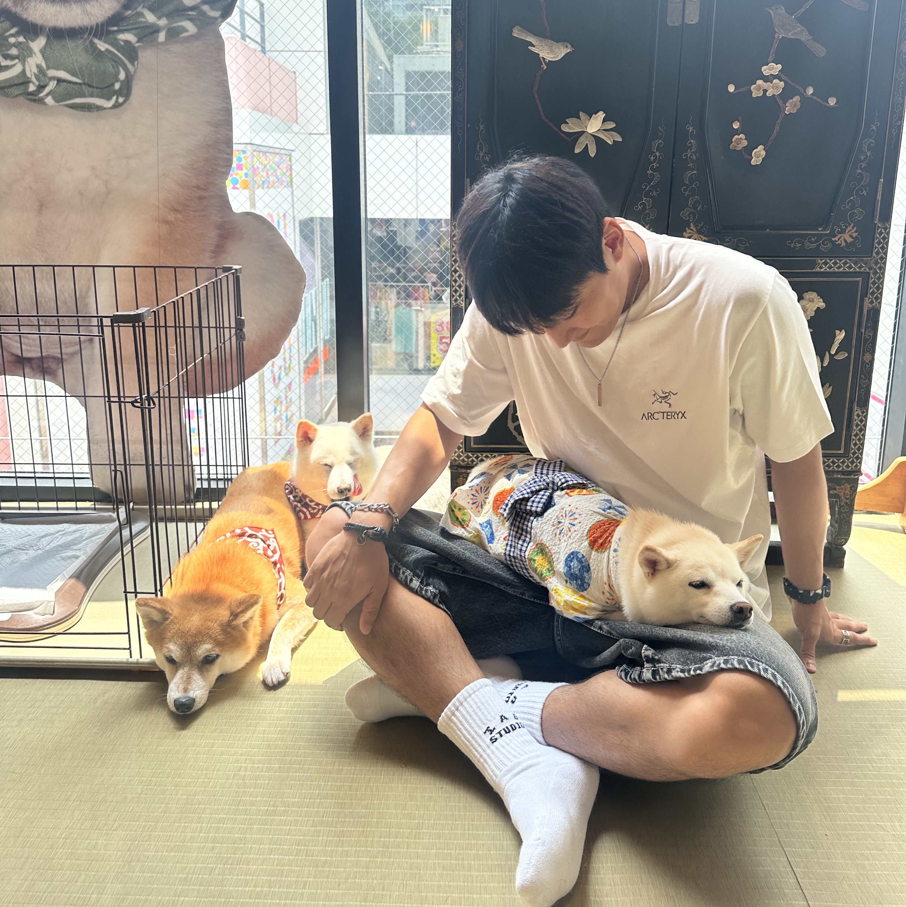Arc'teryx Kragg SL Cotton Bird Word SS T-Shirt White Light Black, IAB Studio Socks White (5 Pack) 착용 스타일
