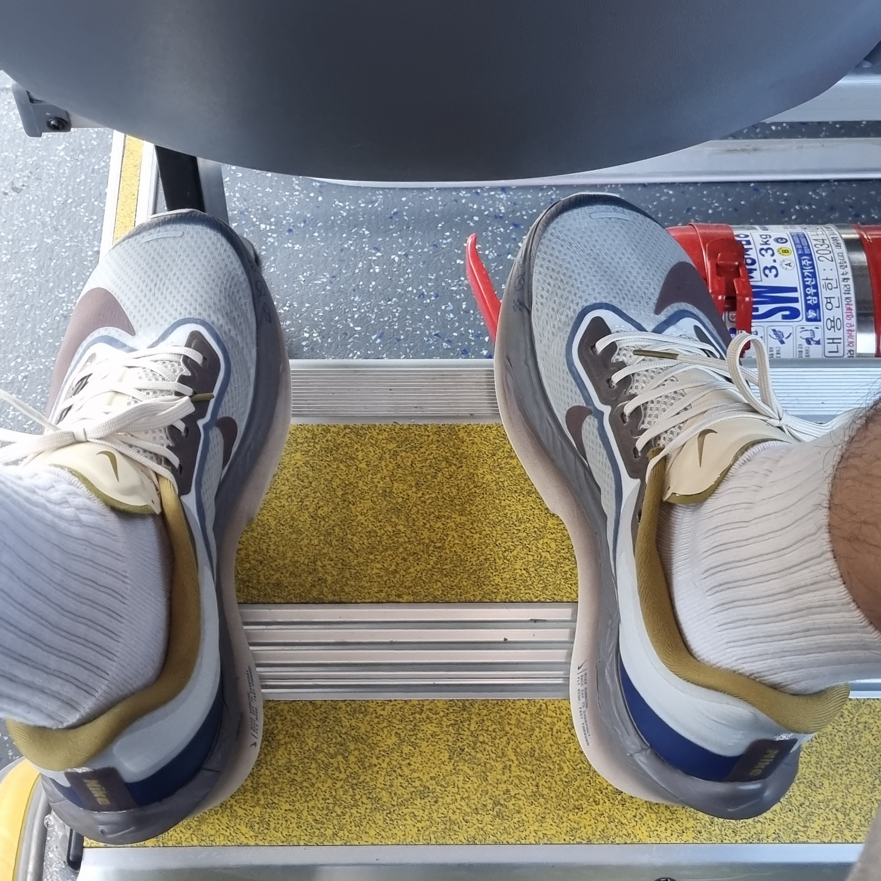 Nike Zoom Fly 6 PRM Light Bone Cave Stone 착용 스타일 - 3