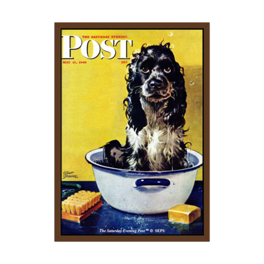 SFX3GD715A The Saturday Evening Post Framed Poster_Butch Gets a Bath_A2