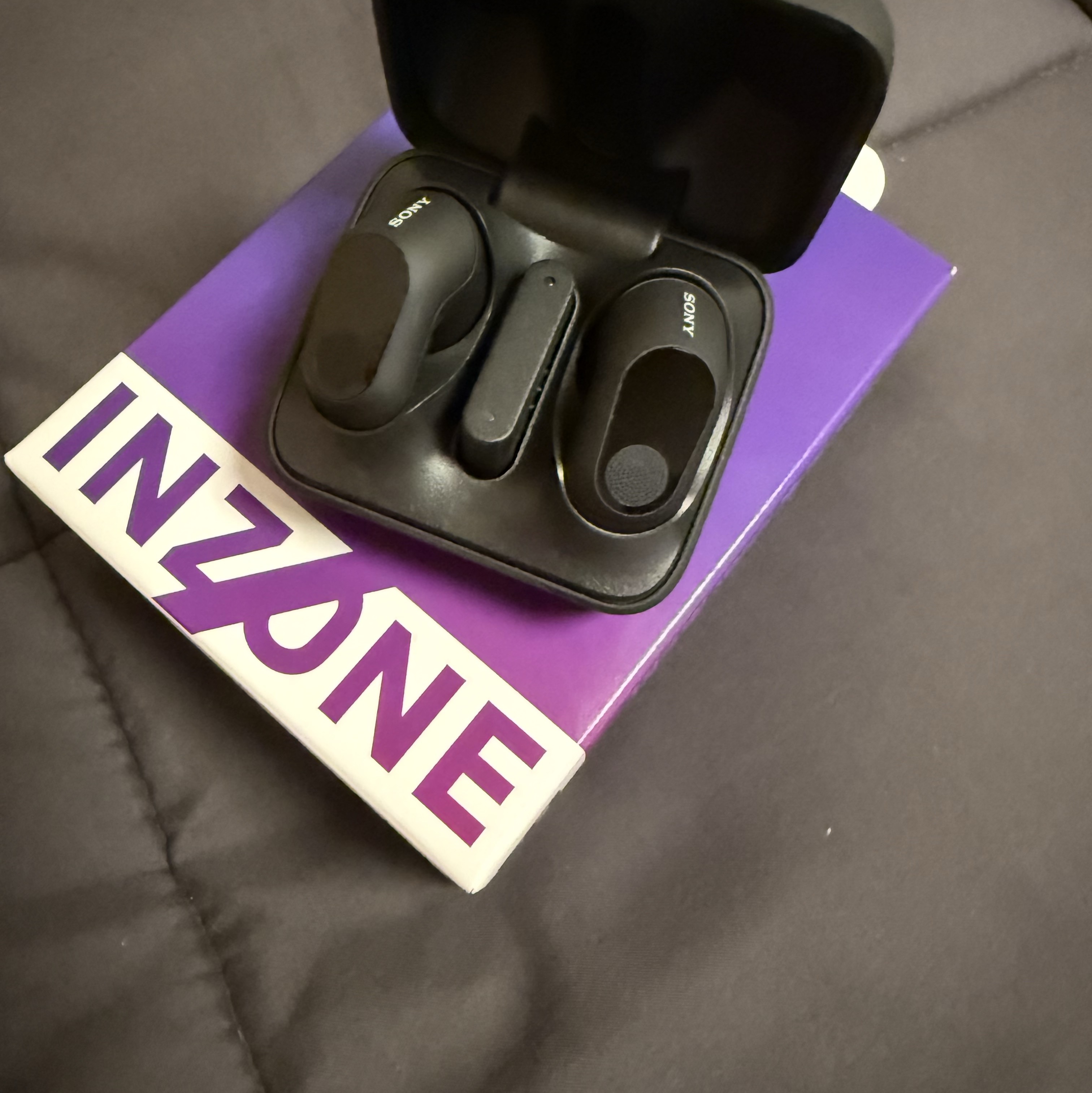 Sony INZONE Buds Black (Sony Korea Ver.) 착용 스타일