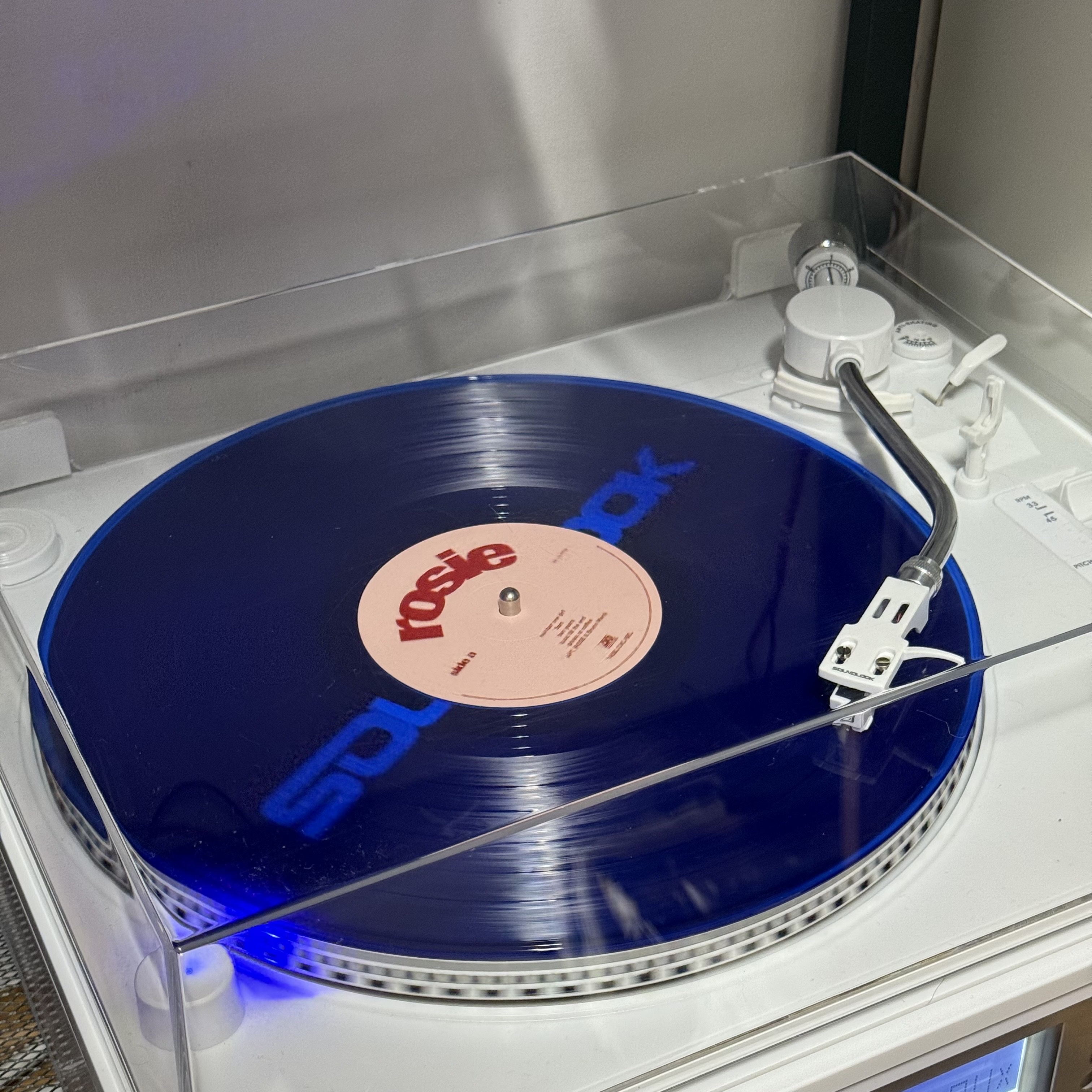 Rose 1st Album Rosie Rose Store Exclusive LP Blue (Vampirehollie Edition) 착용 스타일 - 2