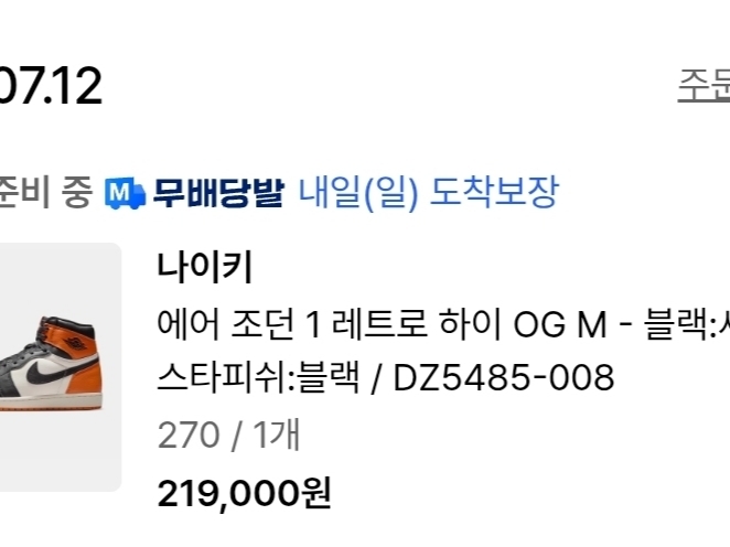 Jordan 1 Retro High OG Shattered Backboard 착용 스타일