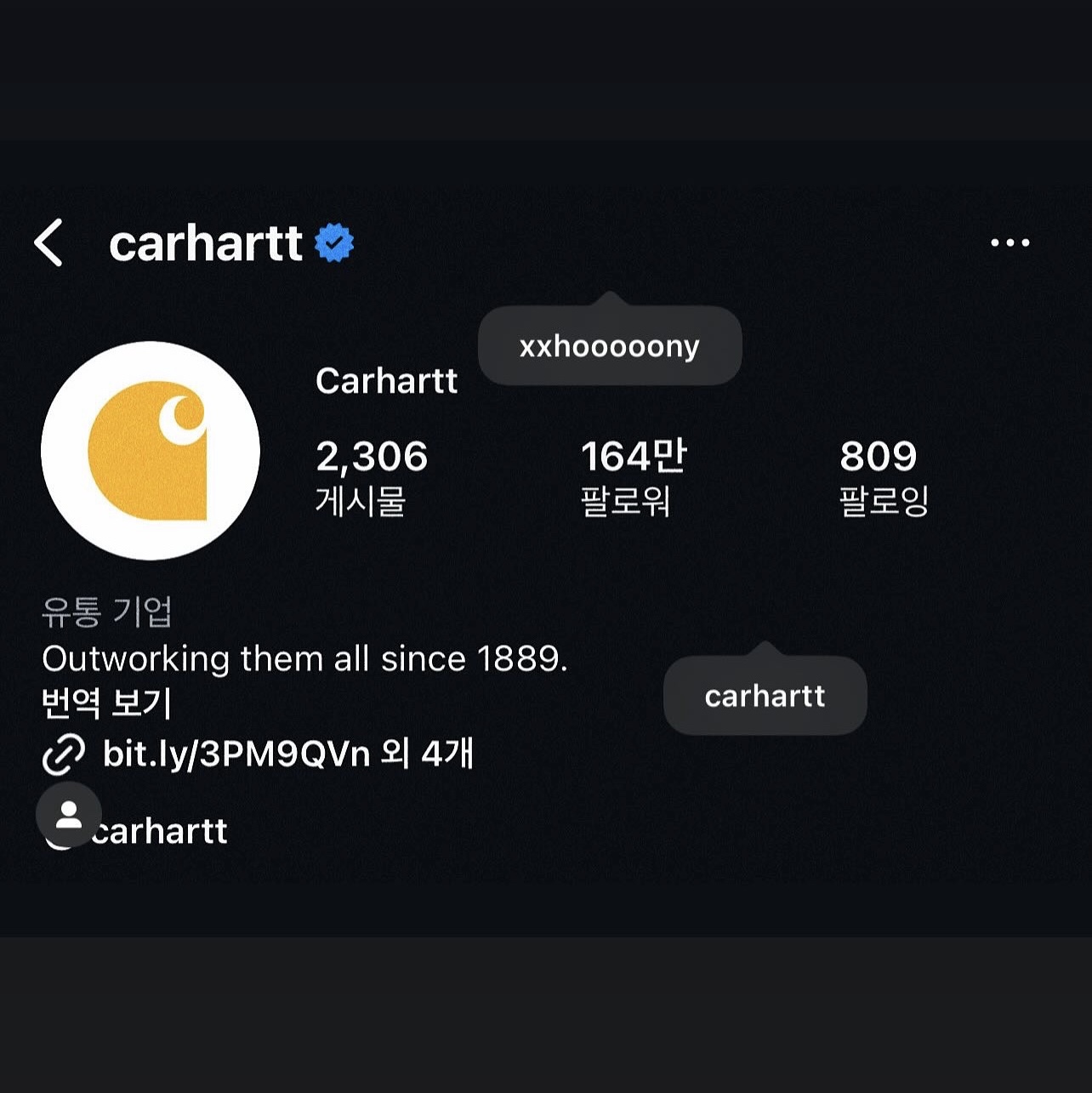 Carhartt Loose Fit Firm Duck Regular Insulated Flannel Lined Active Jacket Carhartt Brown 착용 스타일 - 1