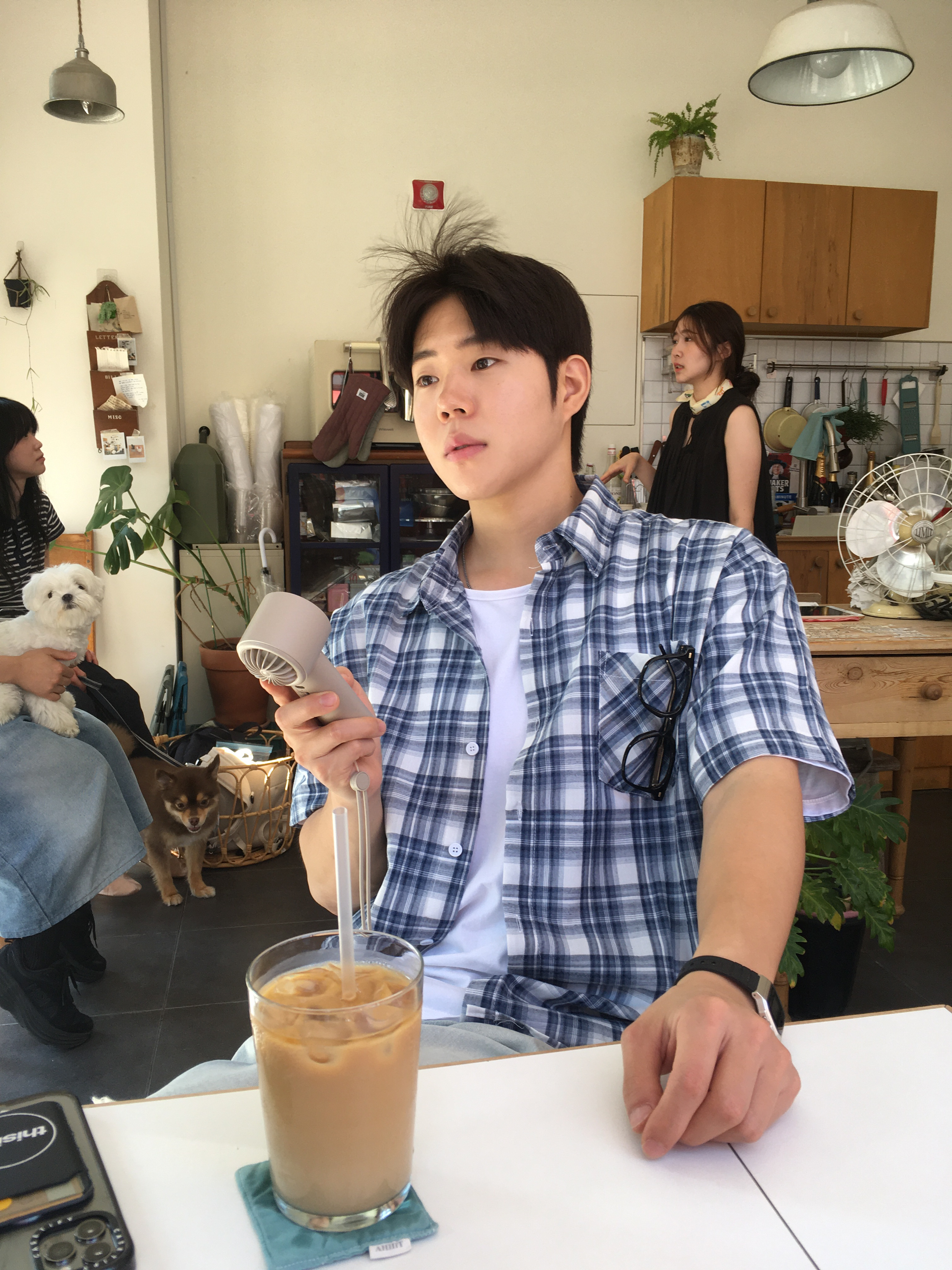 스타일 카드