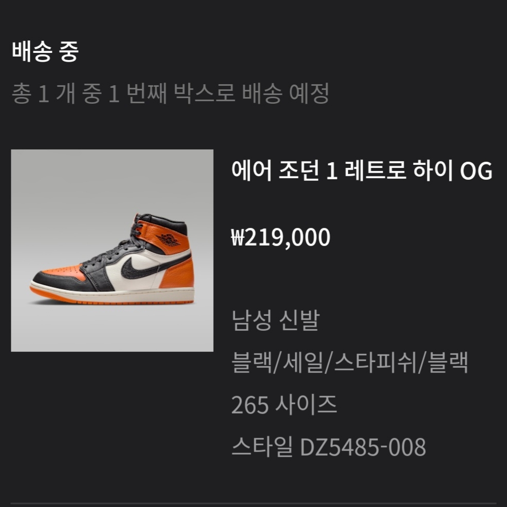 Jordan 1 Retro High OG Shattered Backboard 착용 스타일 - 1