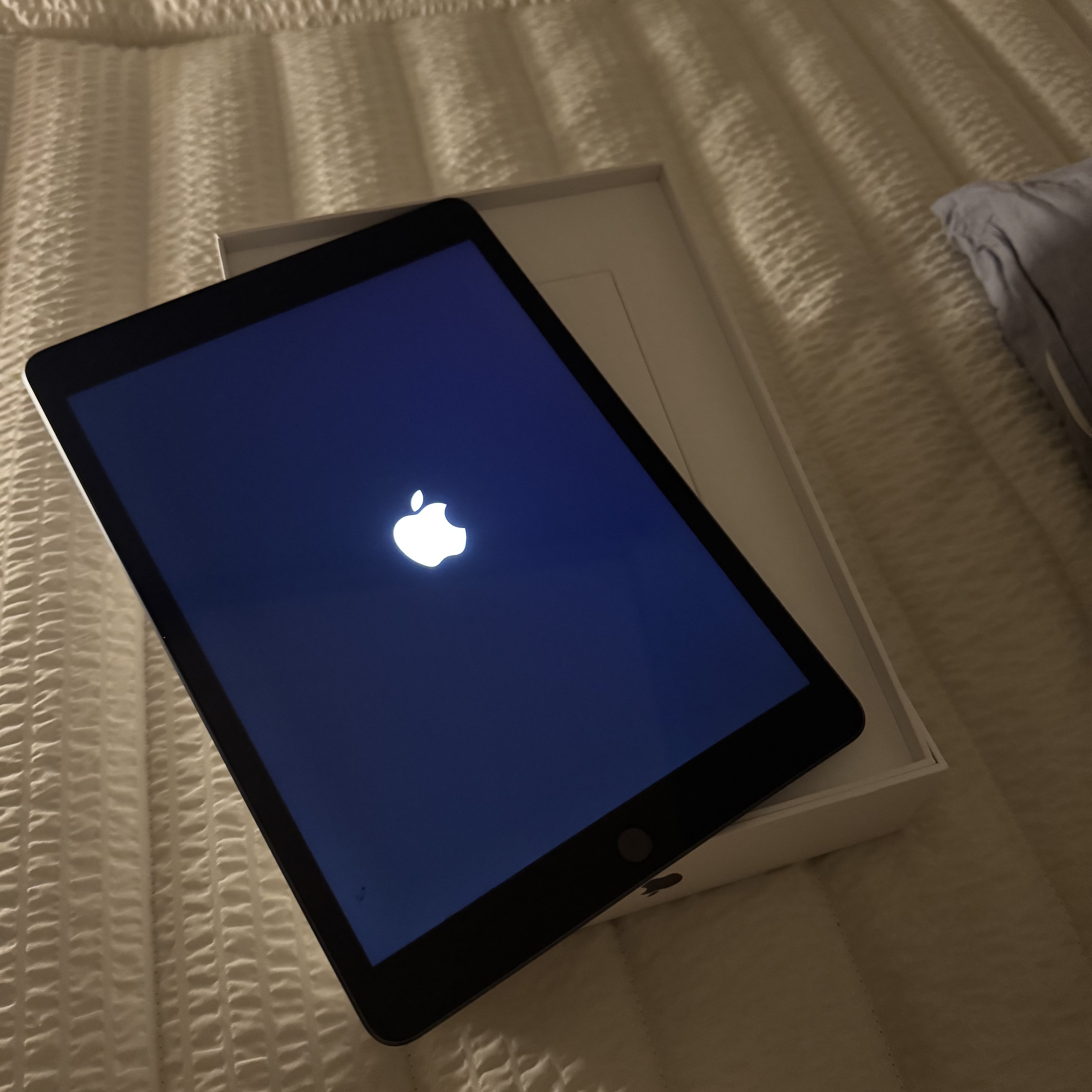 Apple iPad 9th Gen Wifi 64GB Space Gray (Korean Ver.) 착용 스타일