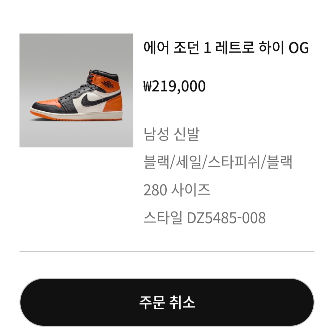 Jordan 1 Retro High OG Shattered Backboard 착용 스타일