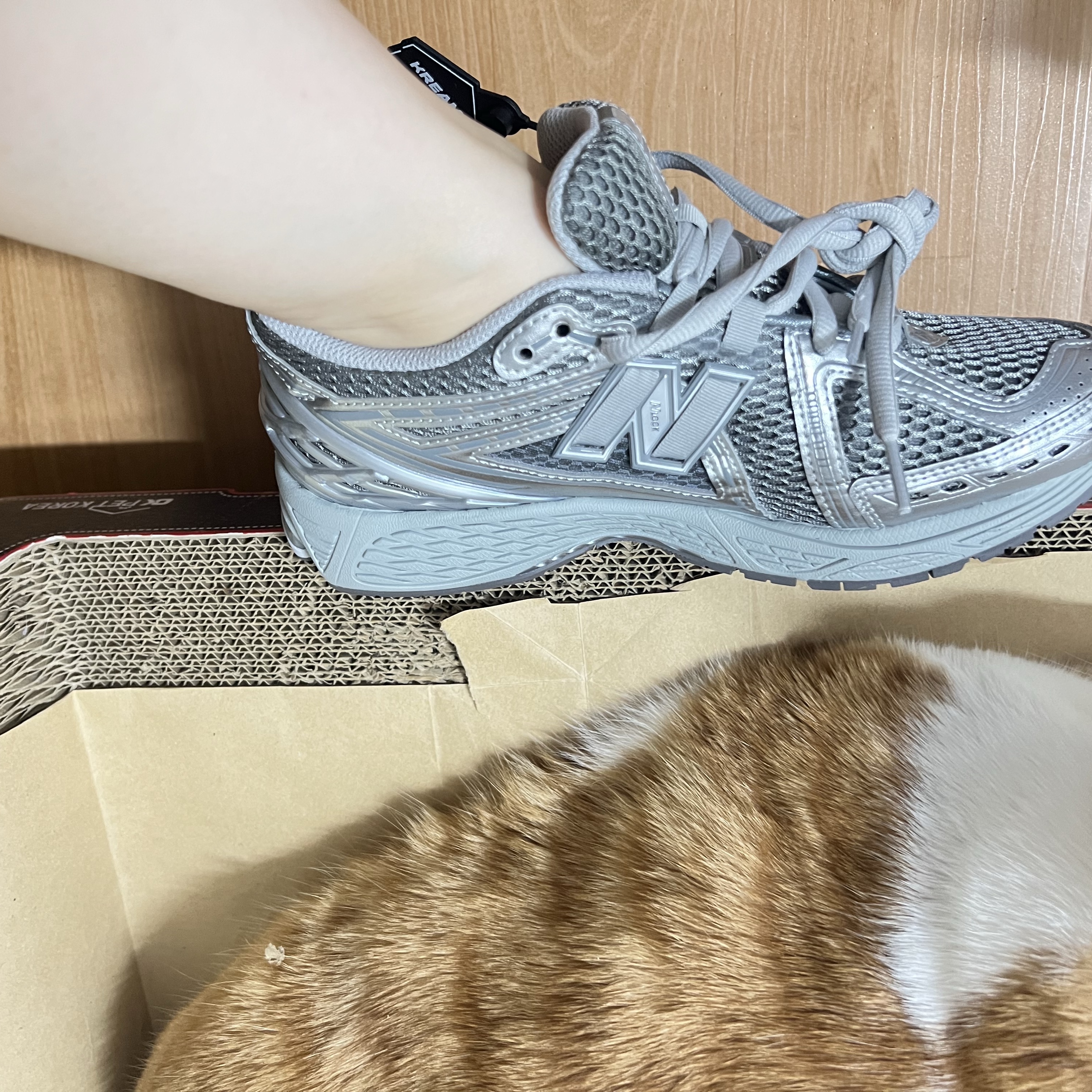 New Balance 1906R Harbor Grey Silver Metalic 착용 스타일 - 2