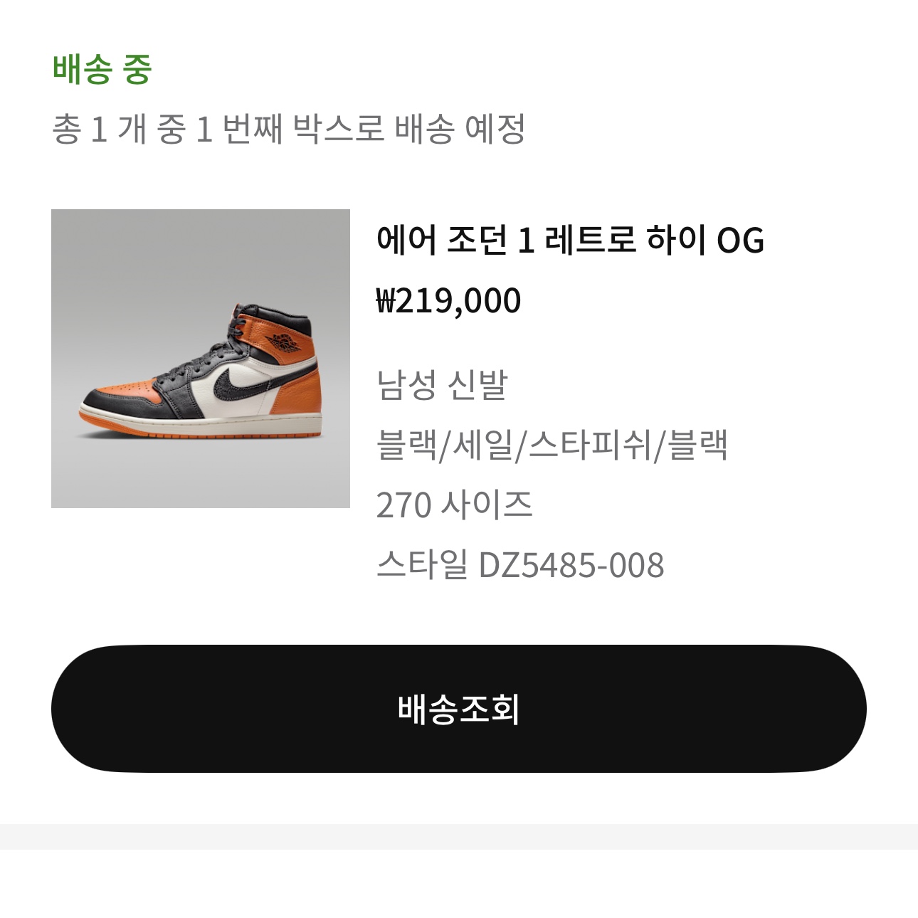 Jordan 1 Retro High OG Shattered Backboard 착용 스타일